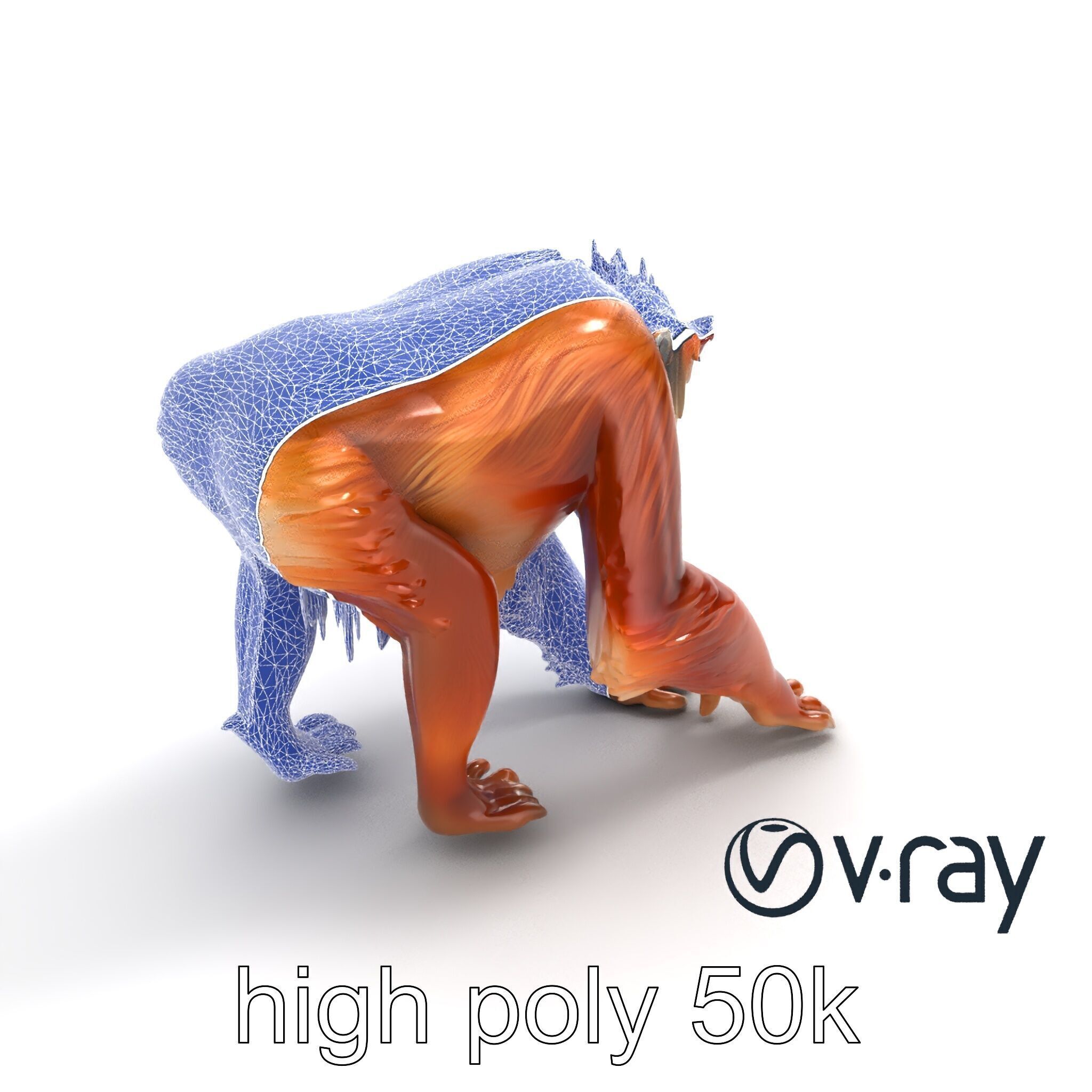 Orangutan Explorer Wilderness 3D Model Pack Low-poly 3D model_30