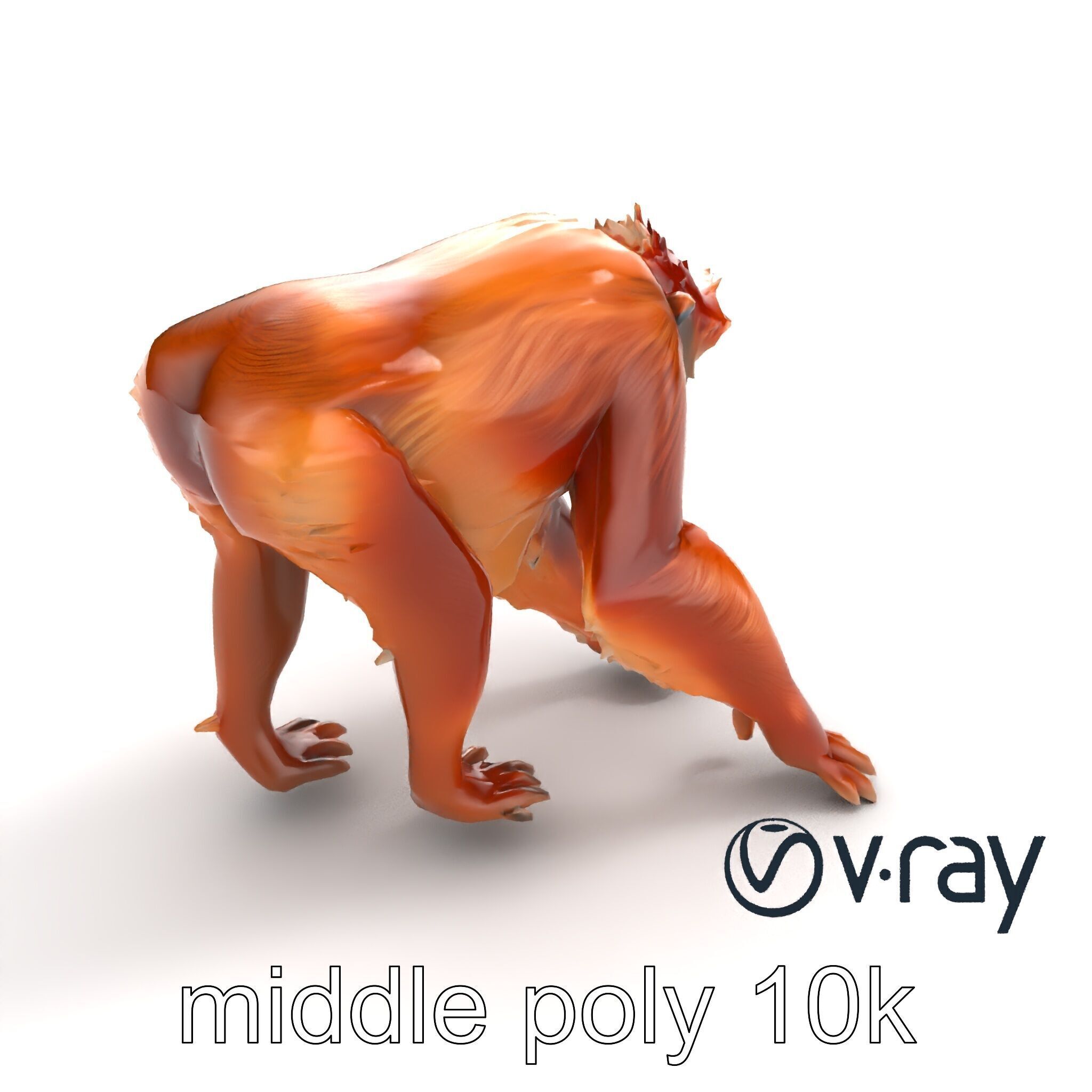 Orangutan Explorer Wilderness 3D Model Pack Low-poly 3D model_6