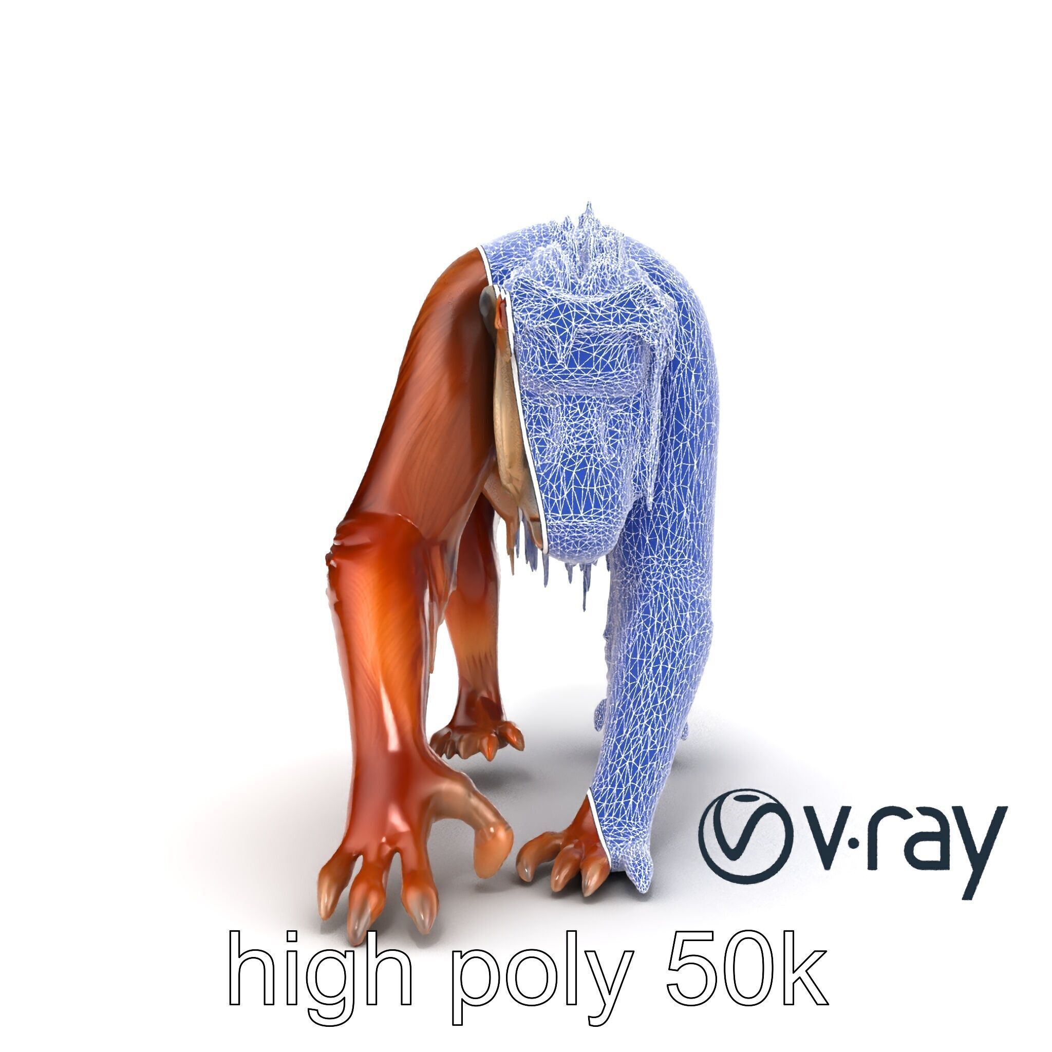 Orangutan Explorer Wilderness 3D Model Pack Low-poly 3D model_29