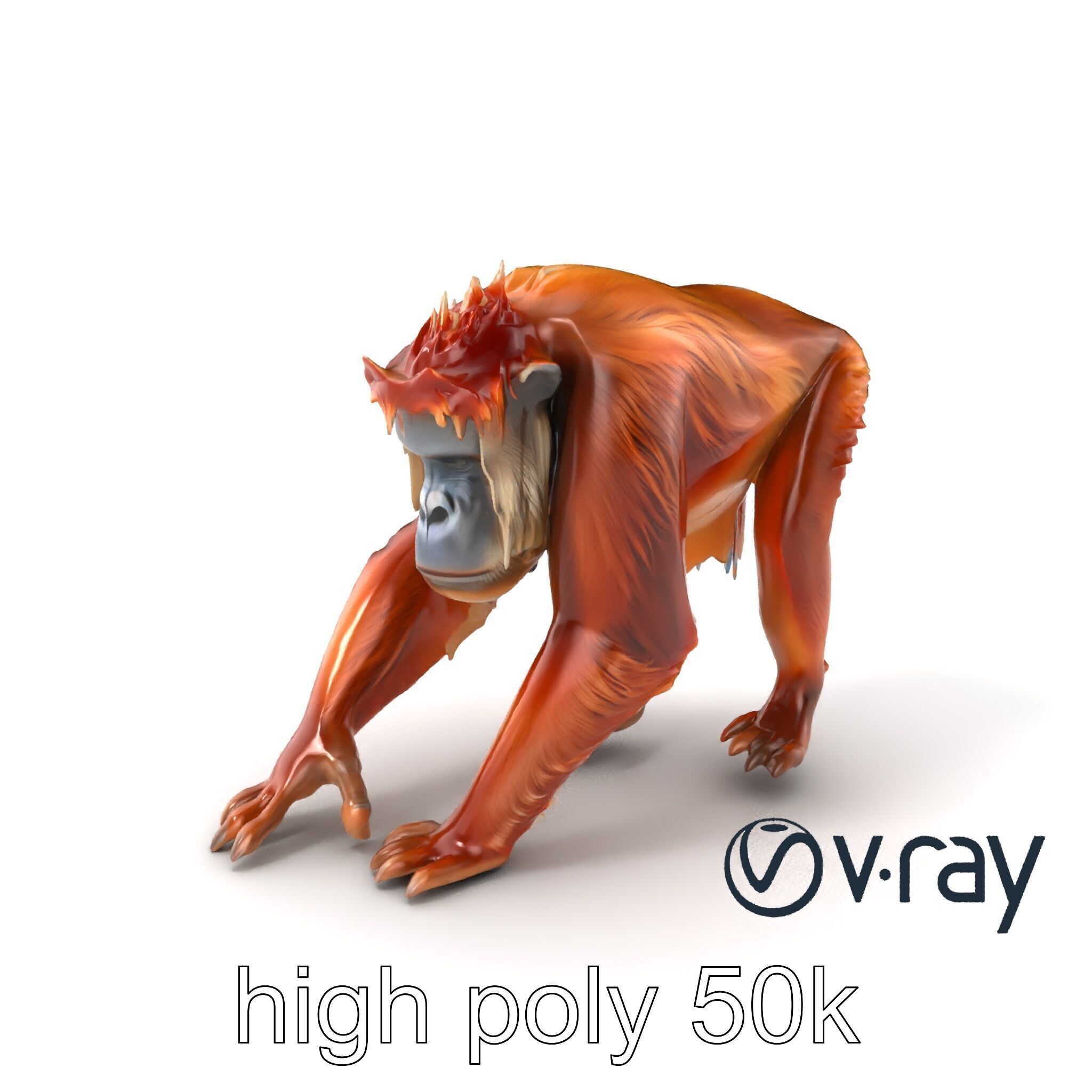 Orangutan Explorer Wilderness 3D Model Pack Low-poly 3D model_5