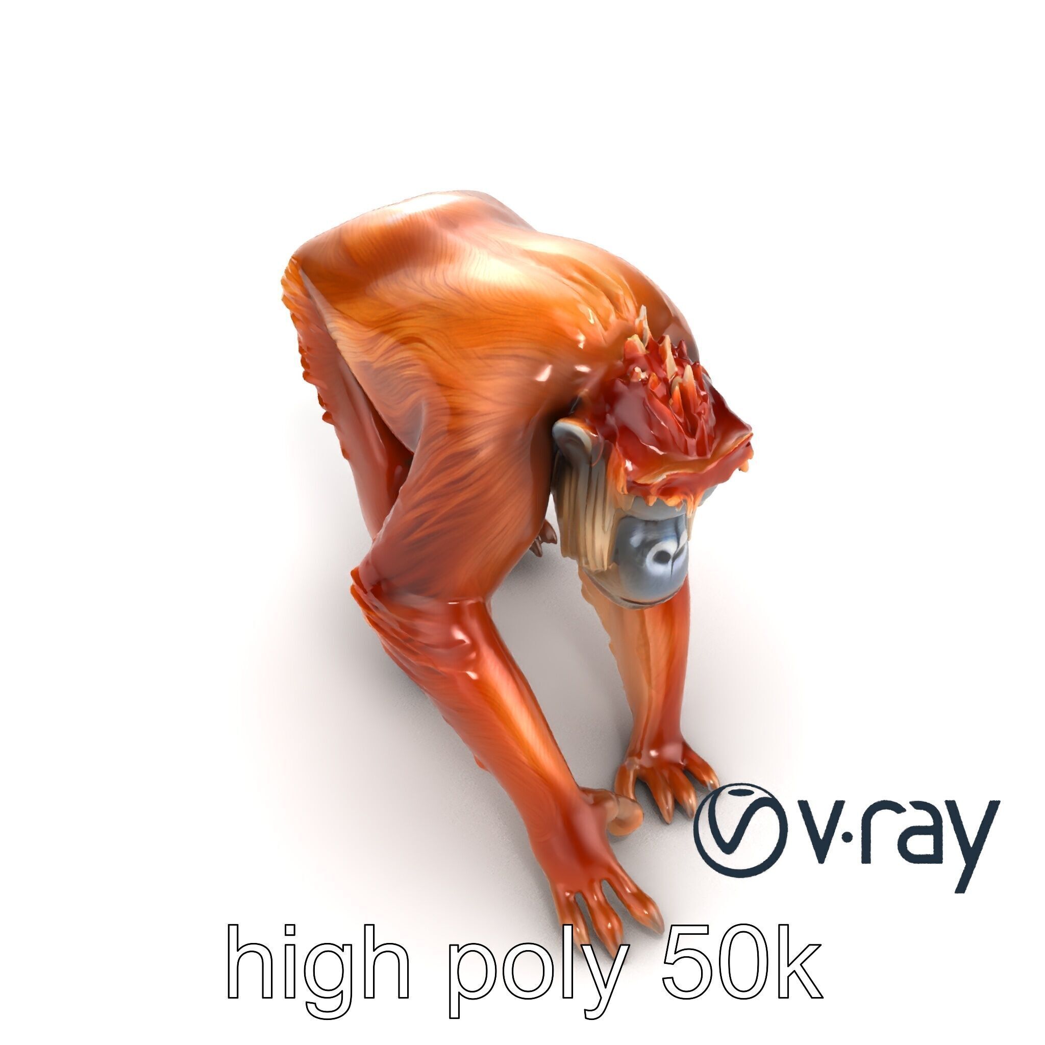 Orangutan Explorer Wilderness 3D Model Pack Low-poly 3D model_15