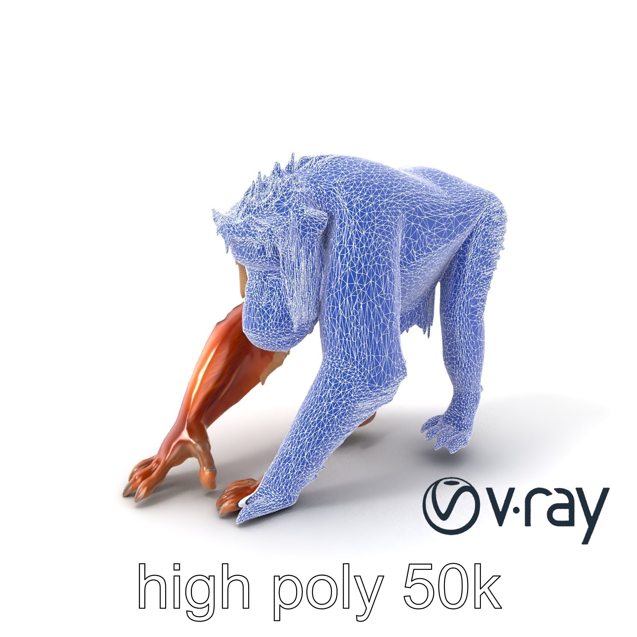 Orangutan Explorer Wilderness 3D Model Pack Low-poly 3D model_8