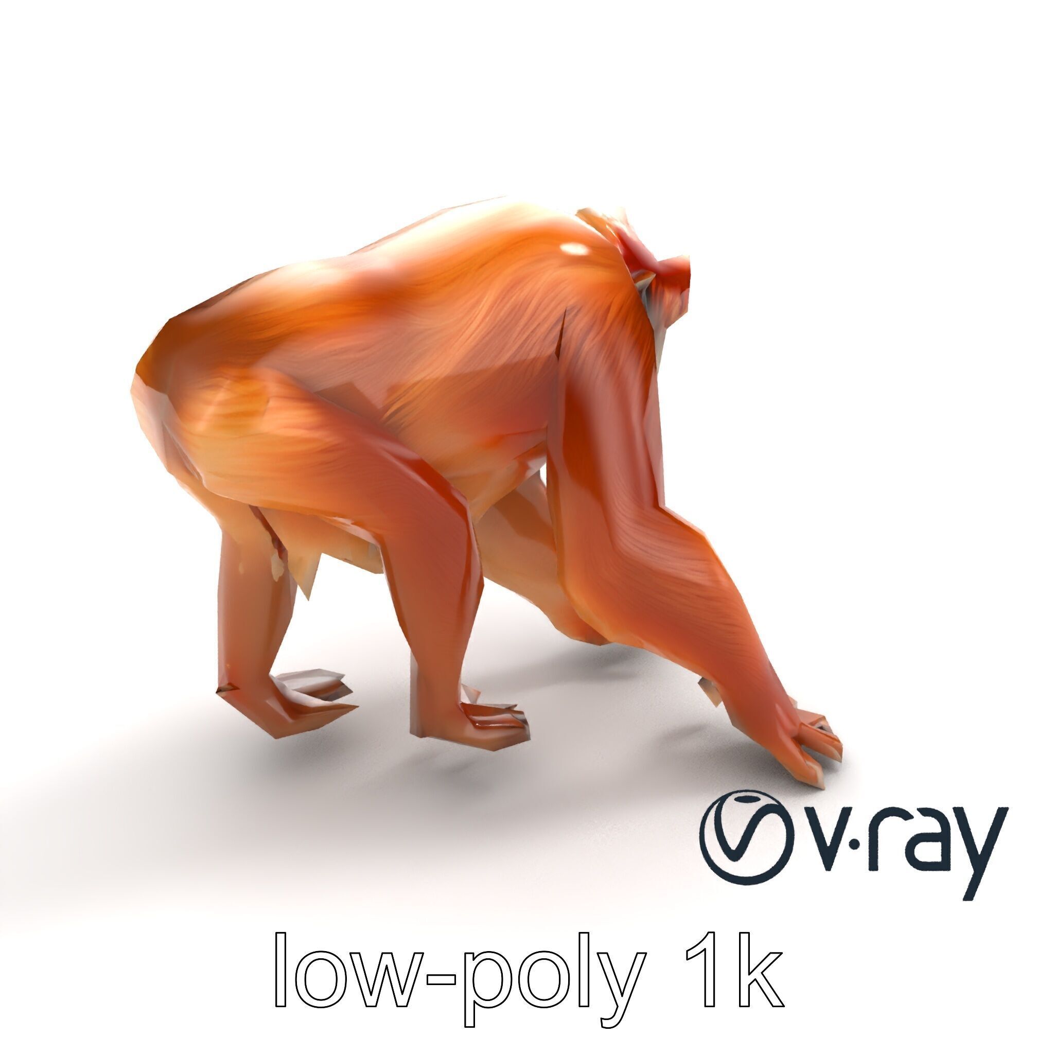 Orangutan Explorer Wilderness 3D Model Pack Low-poly 3D model_7