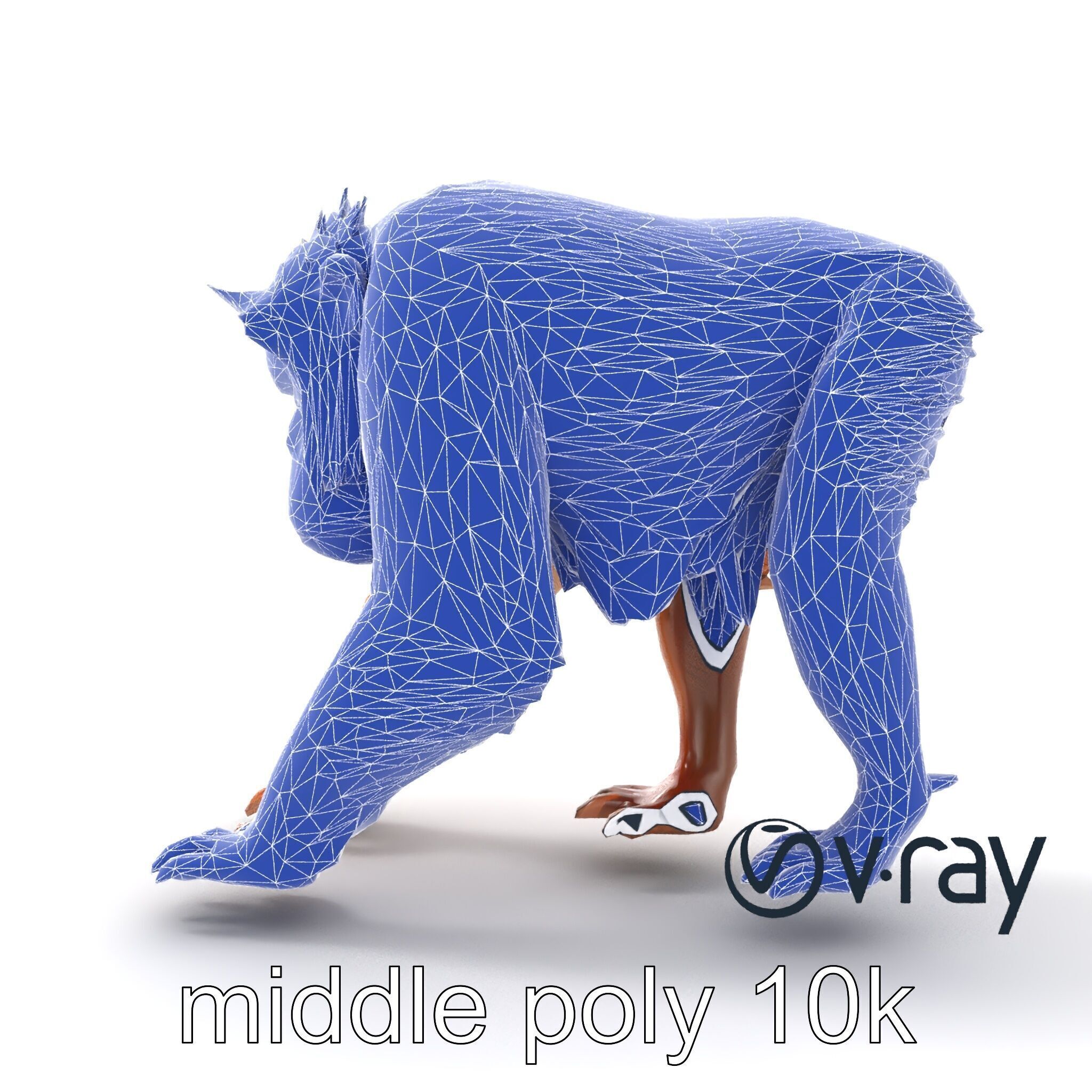 Orangutan Explorer Wilderness 3D Model Pack Low-poly 3D model_28