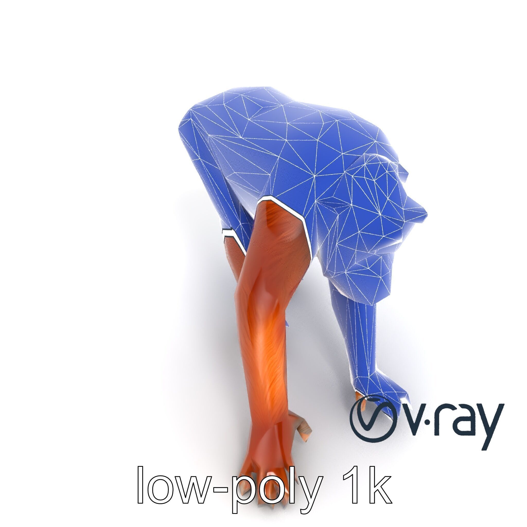 Orangutan Explorer Wilderness 3D Model Pack Low-poly 3D model_25