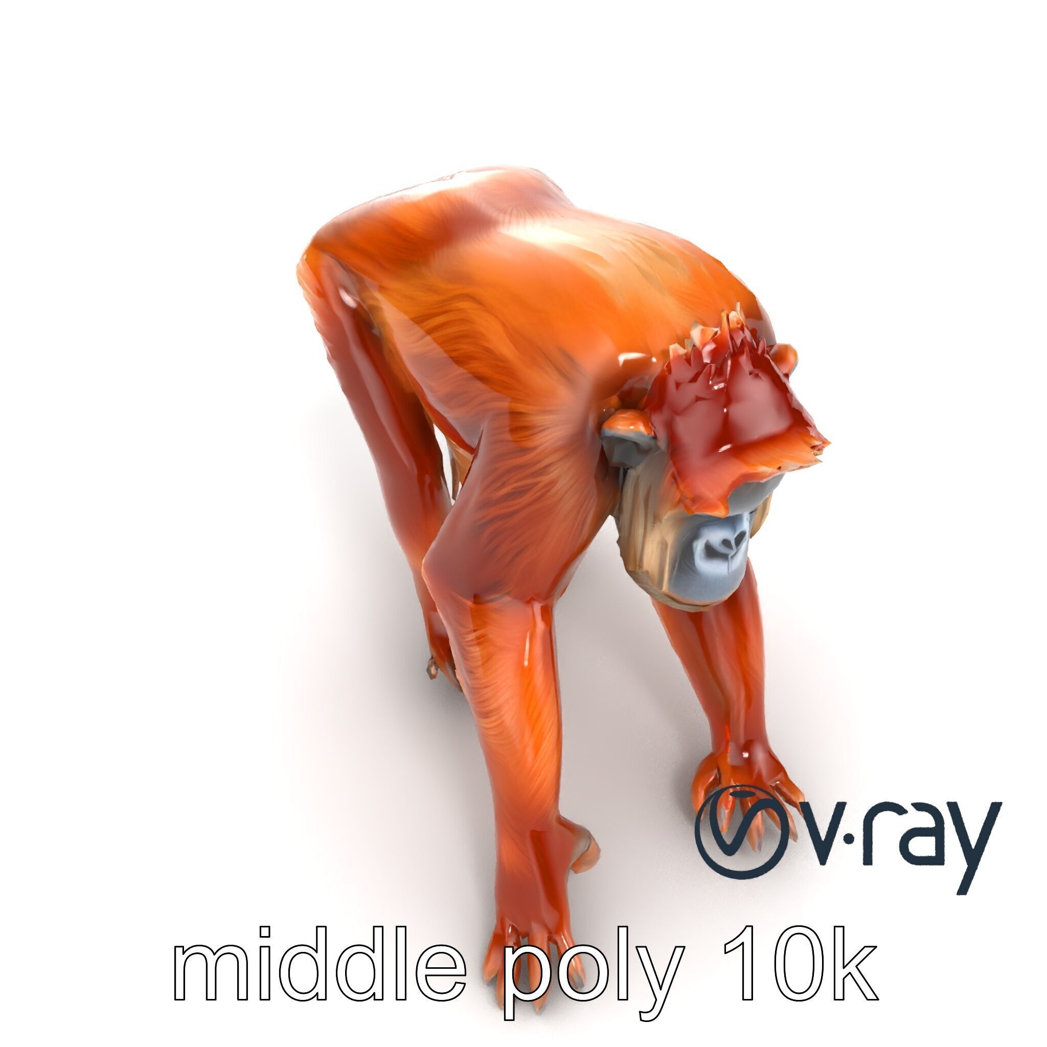 Orangutan Explorer Wilderness 3D Model Pack Low-poly 3D model_16