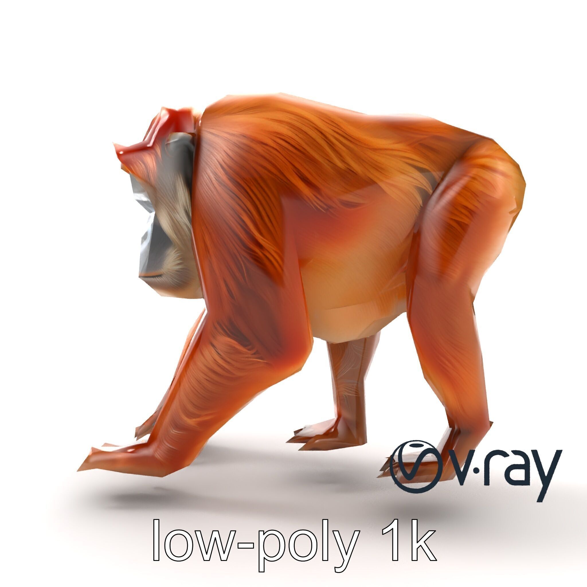 Orangutan Explorer Wilderness 3D Model Pack Low-poly 3D model_18