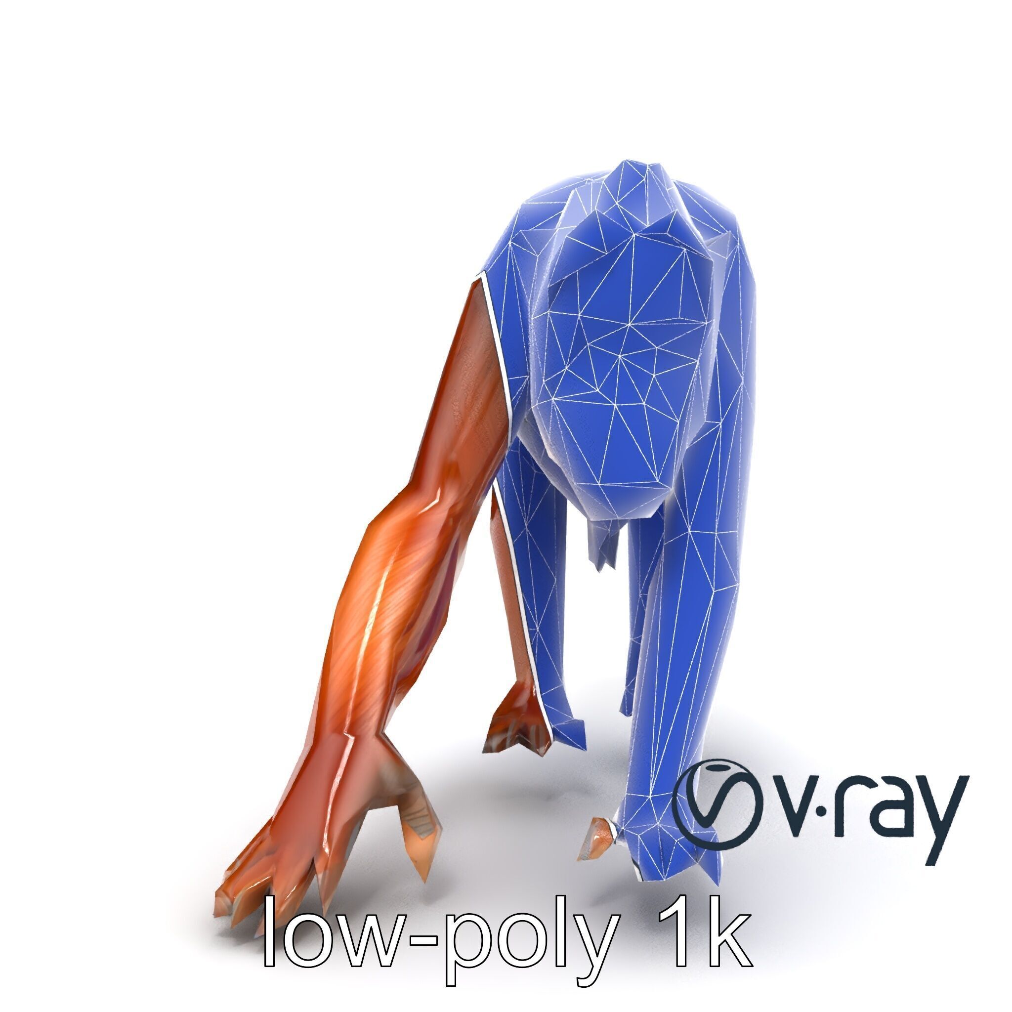 Orangutan Explorer Wilderness 3D Model Pack Low-poly 3D model_14