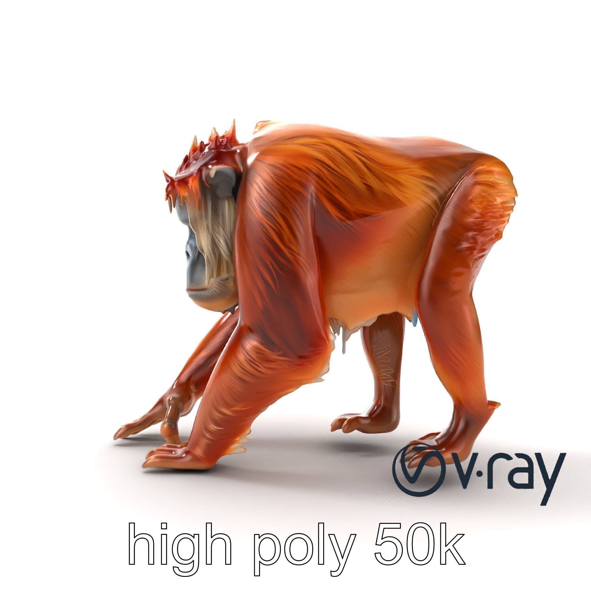 Orangutan Explorer Wilderness 3D Model Pack Low-poly 3D model_21