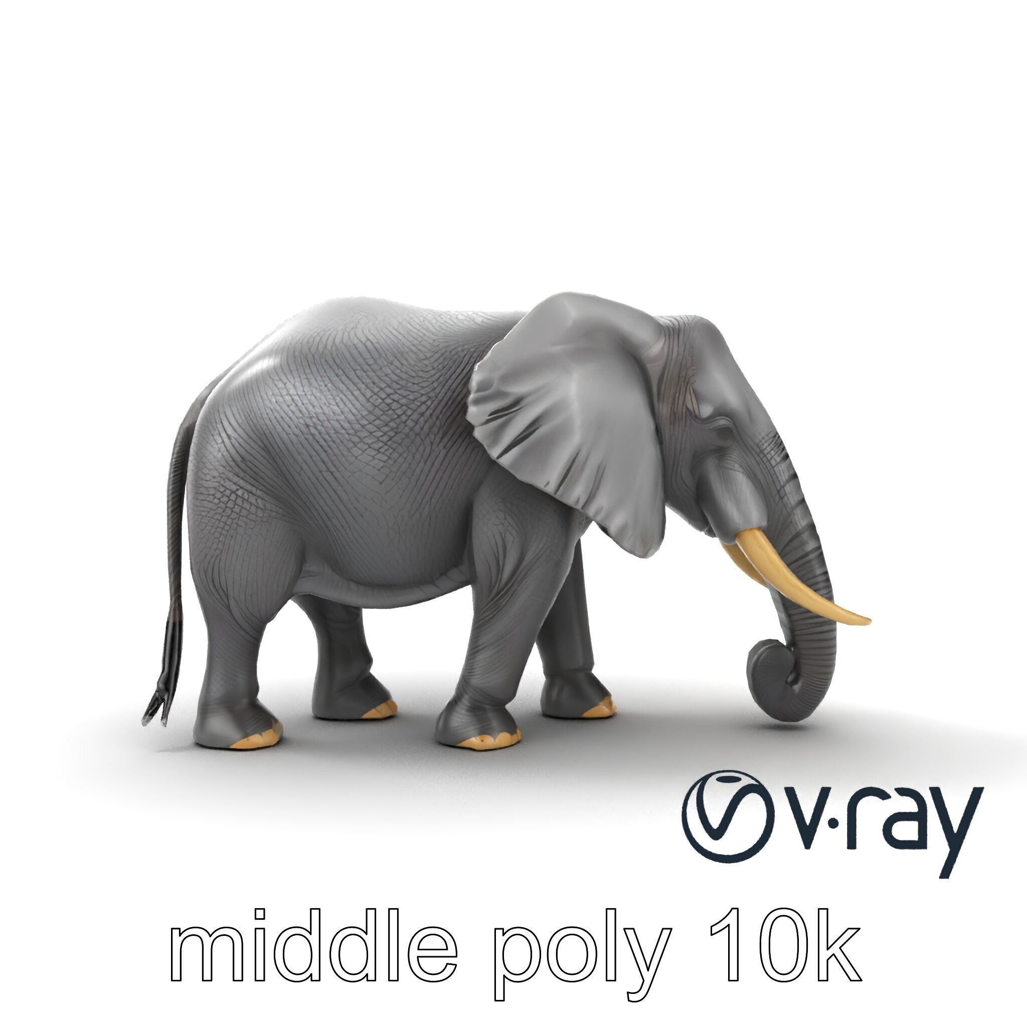 Majestic African Elephant 3D model pack Low-poly 3D model_23