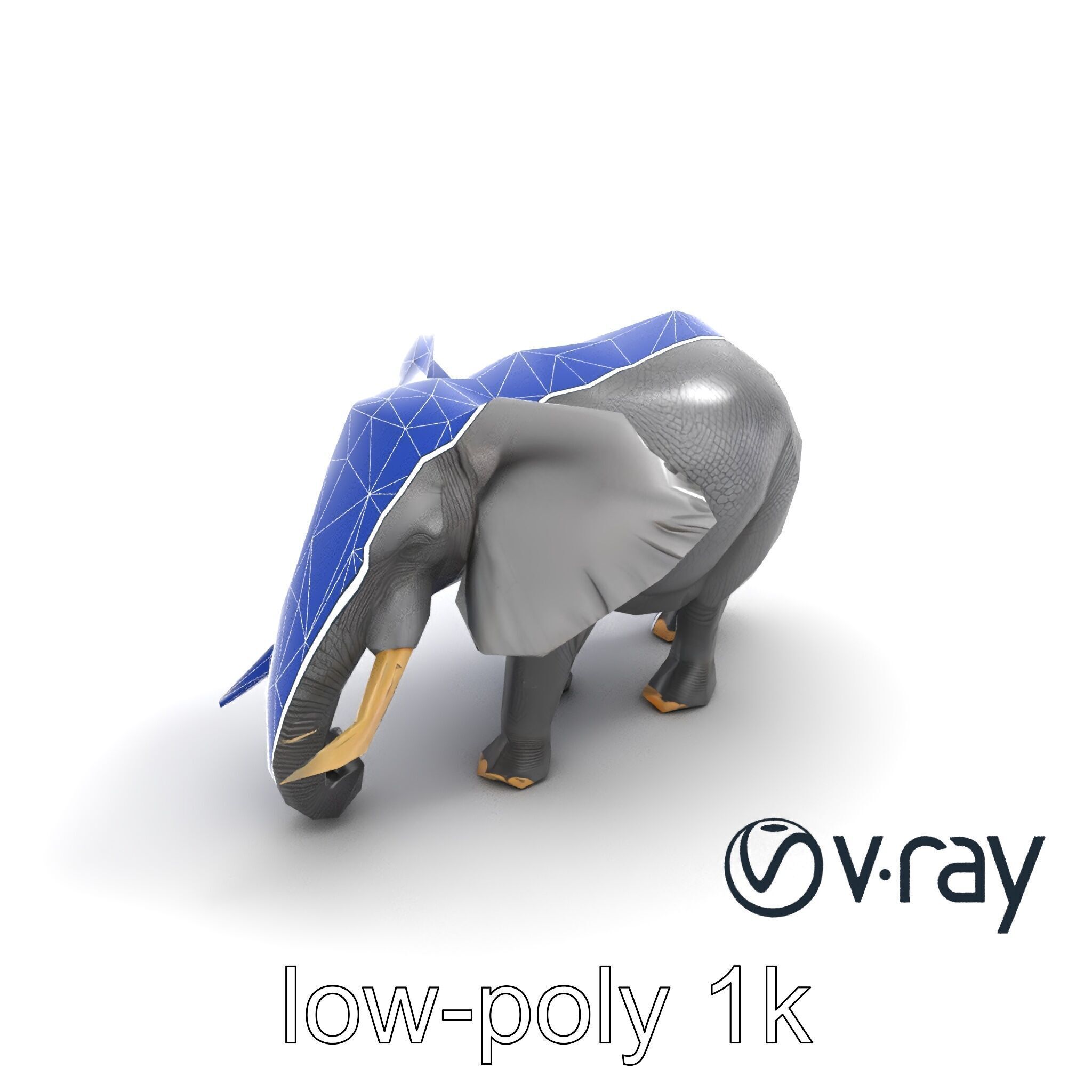 Majestic African Elephant 3D model pack Low-poly 3D model_31