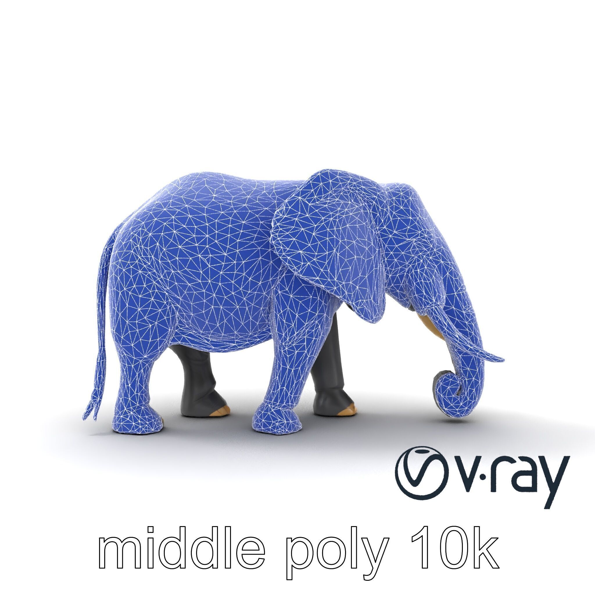 Majestic African Elephant 3D model pack Low-poly 3D model_12