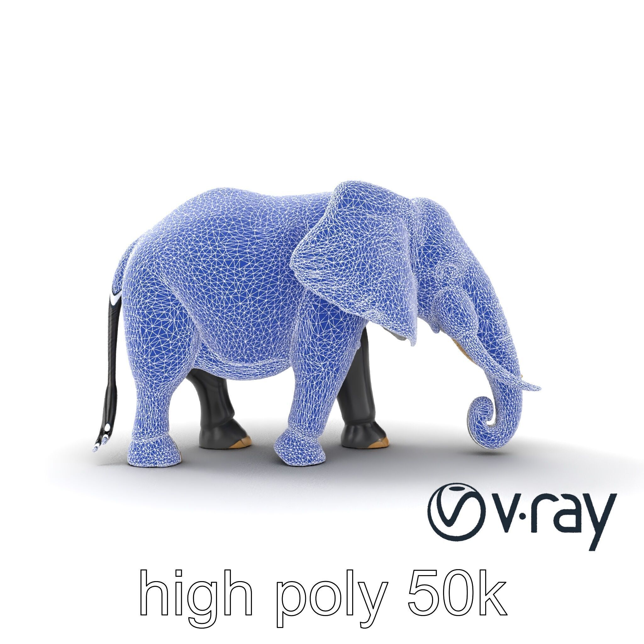 Majestic African Elephant 3D model pack Low-poly 3D model_29