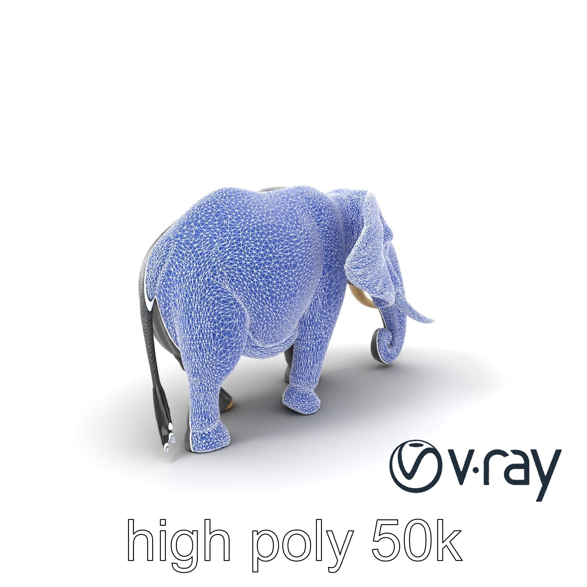 Majestic African Elephant 3D model pack Low-poly 3D model_8