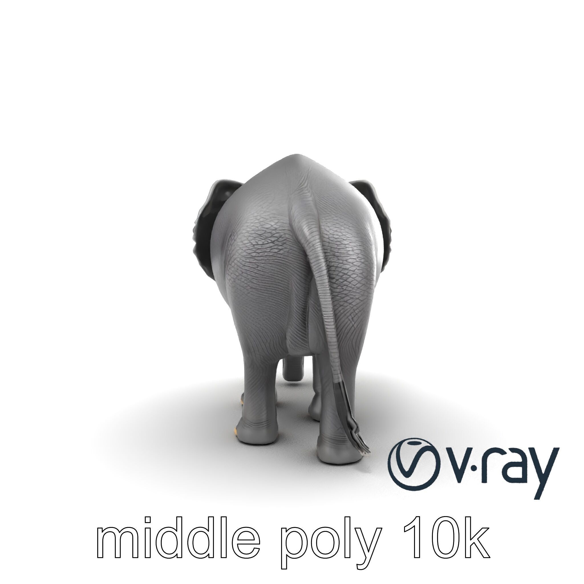 Majestic African Elephant 3D model pack Low-poly 3D model_22