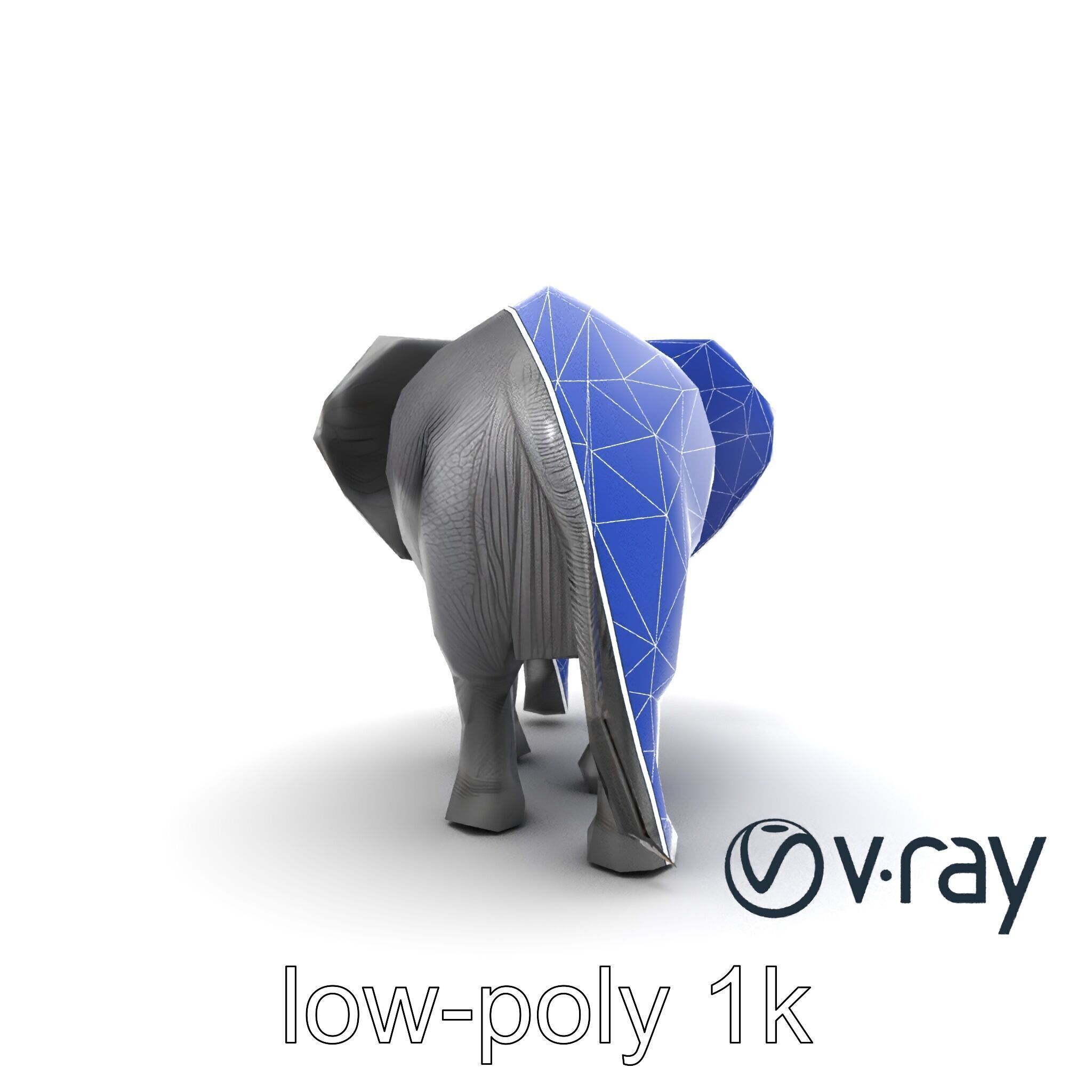 Majestic African Elephant 3D model pack Low-poly 3D model_14