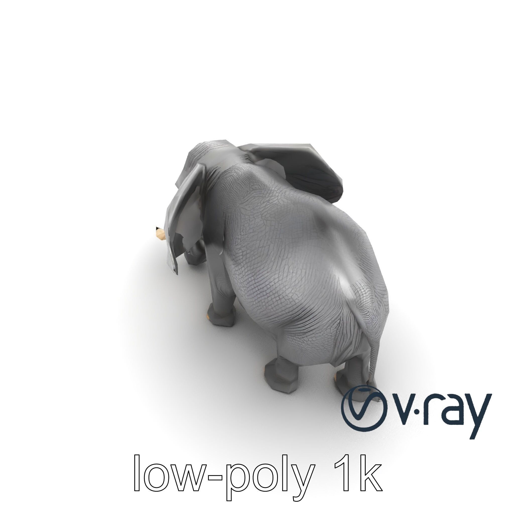 Majestic African Elephant 3D model pack Low-poly 3D model_24