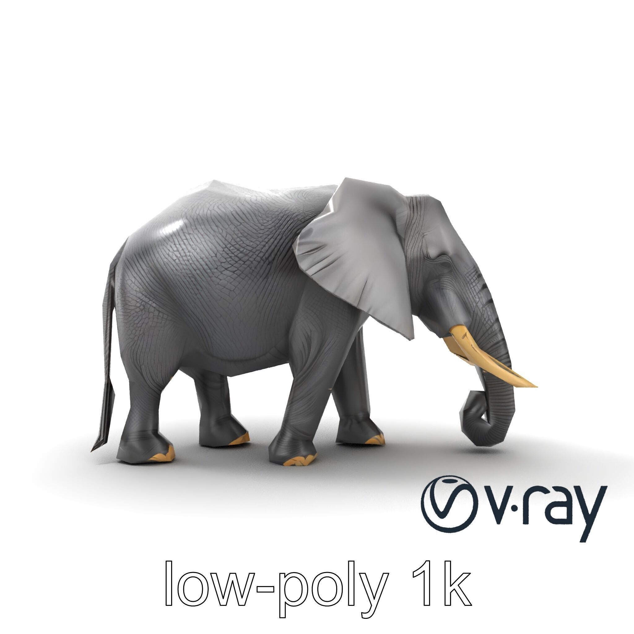 Majestic African Elephant 3D model pack Low-poly 3D model_30