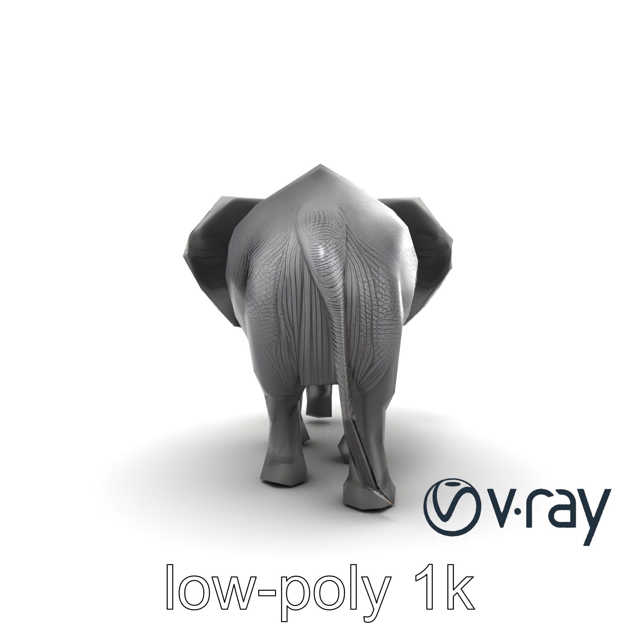 Majestic African Elephant 3D model pack Low-poly 3D model_19