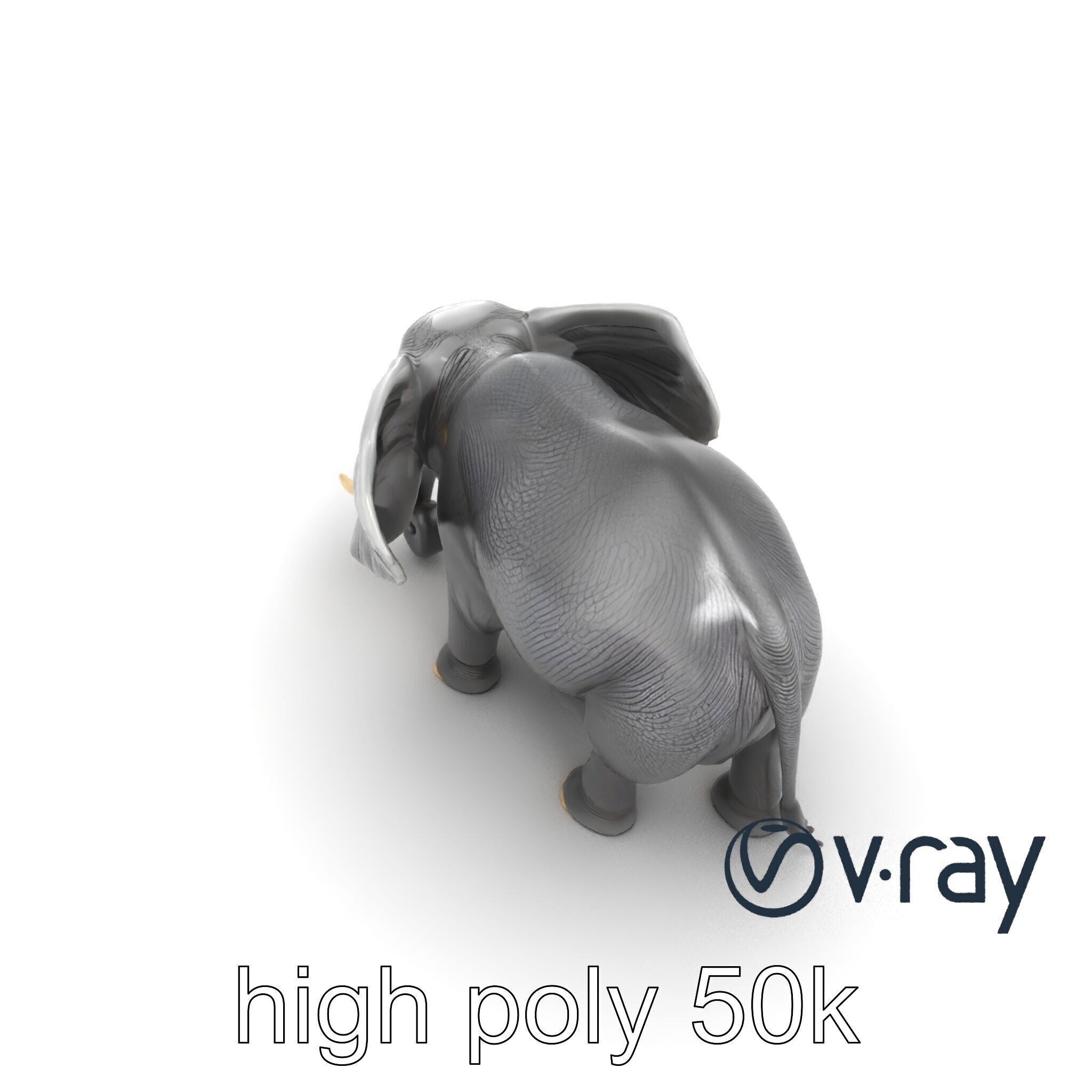 Majestic African Elephant 3D model pack Low-poly 3D model_21