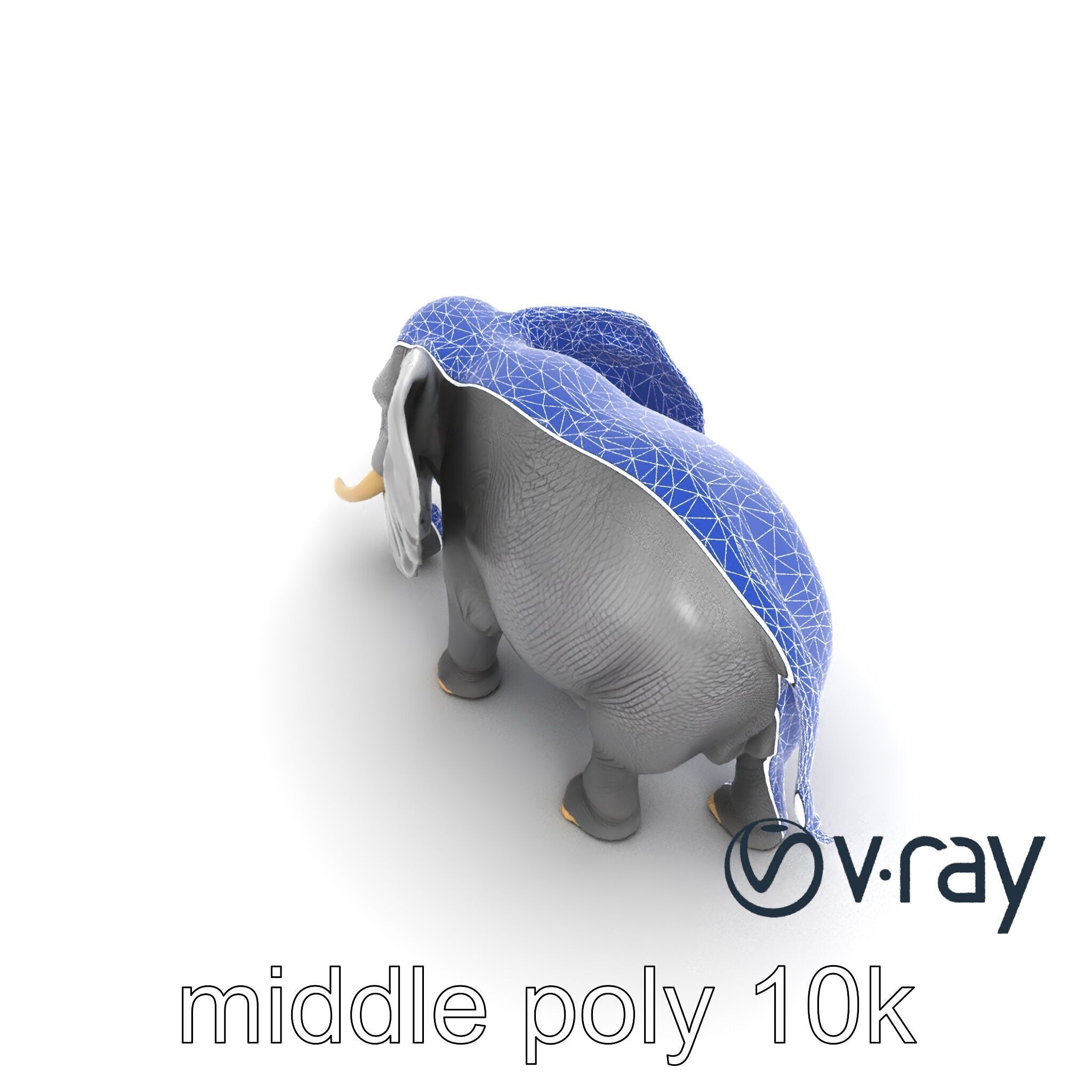 Majestic African Elephant 3D model pack Low-poly 3D model_32