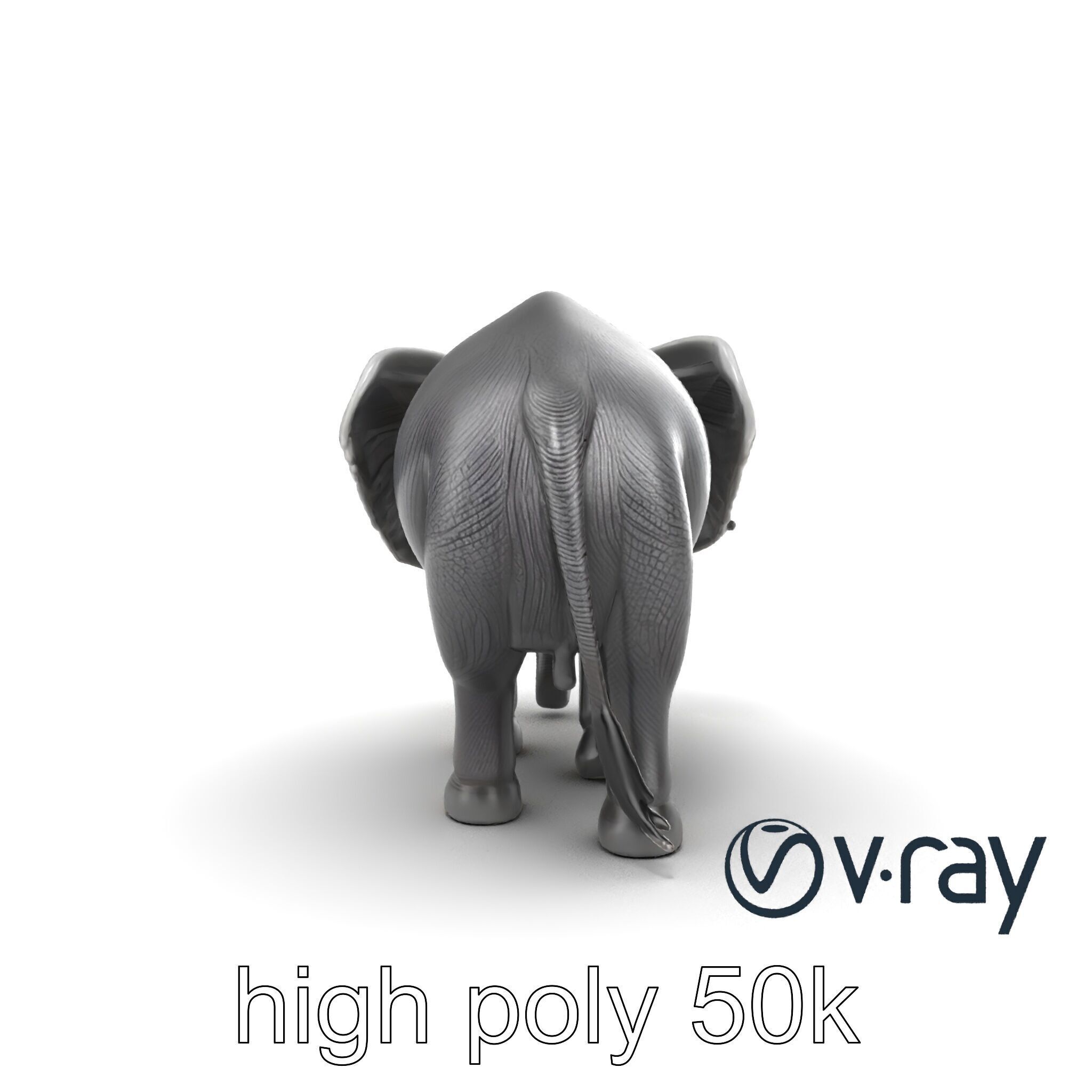 Majestic African Elephant 3D model pack Low-poly 3D model_13