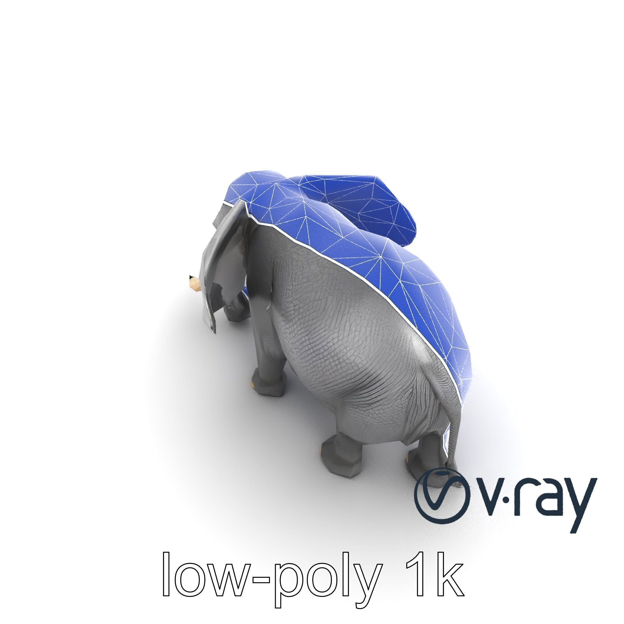 Majestic African Elephant 3D model pack Low-poly 3D model_17