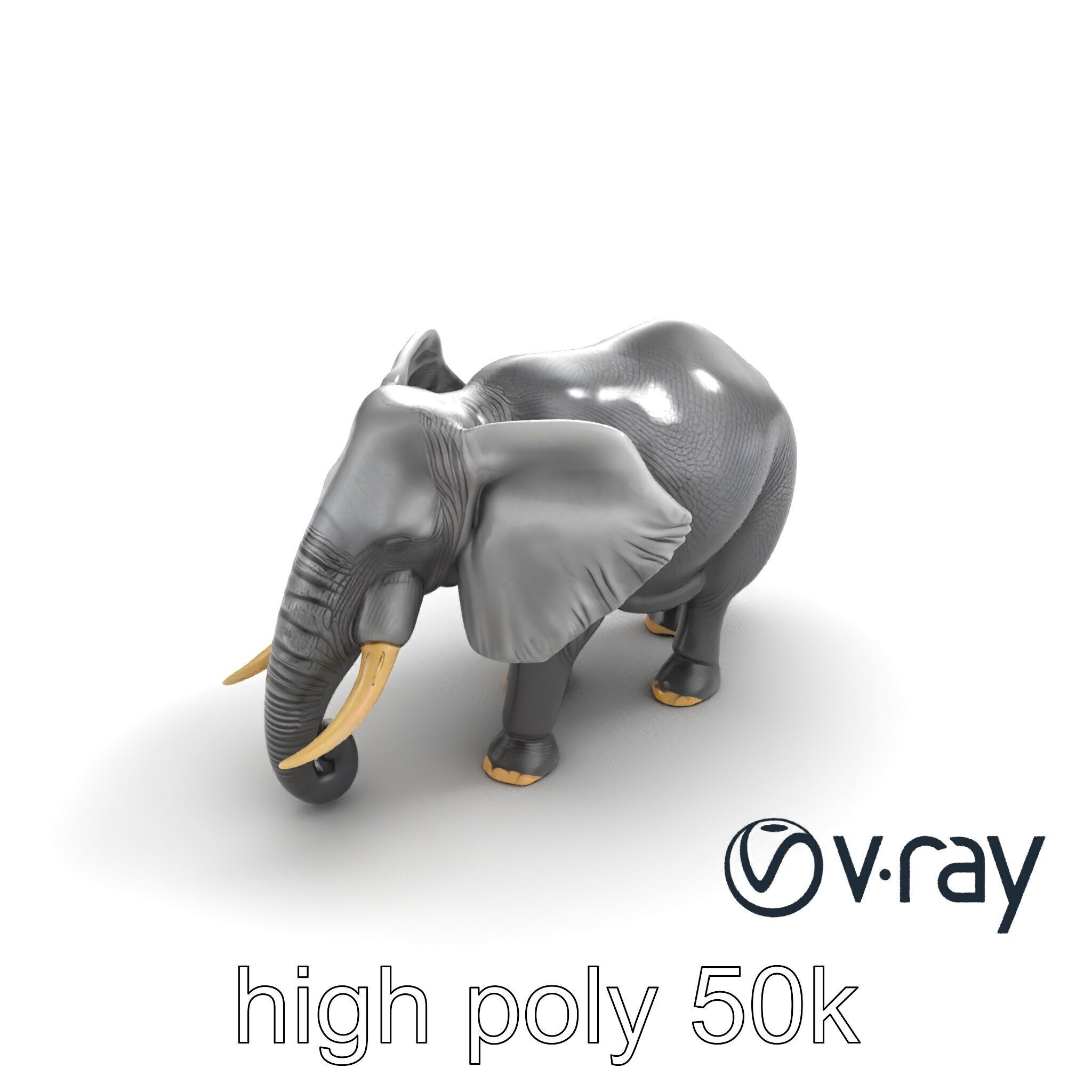Majestic African Elephant 3D model pack Low-poly 3D model_11