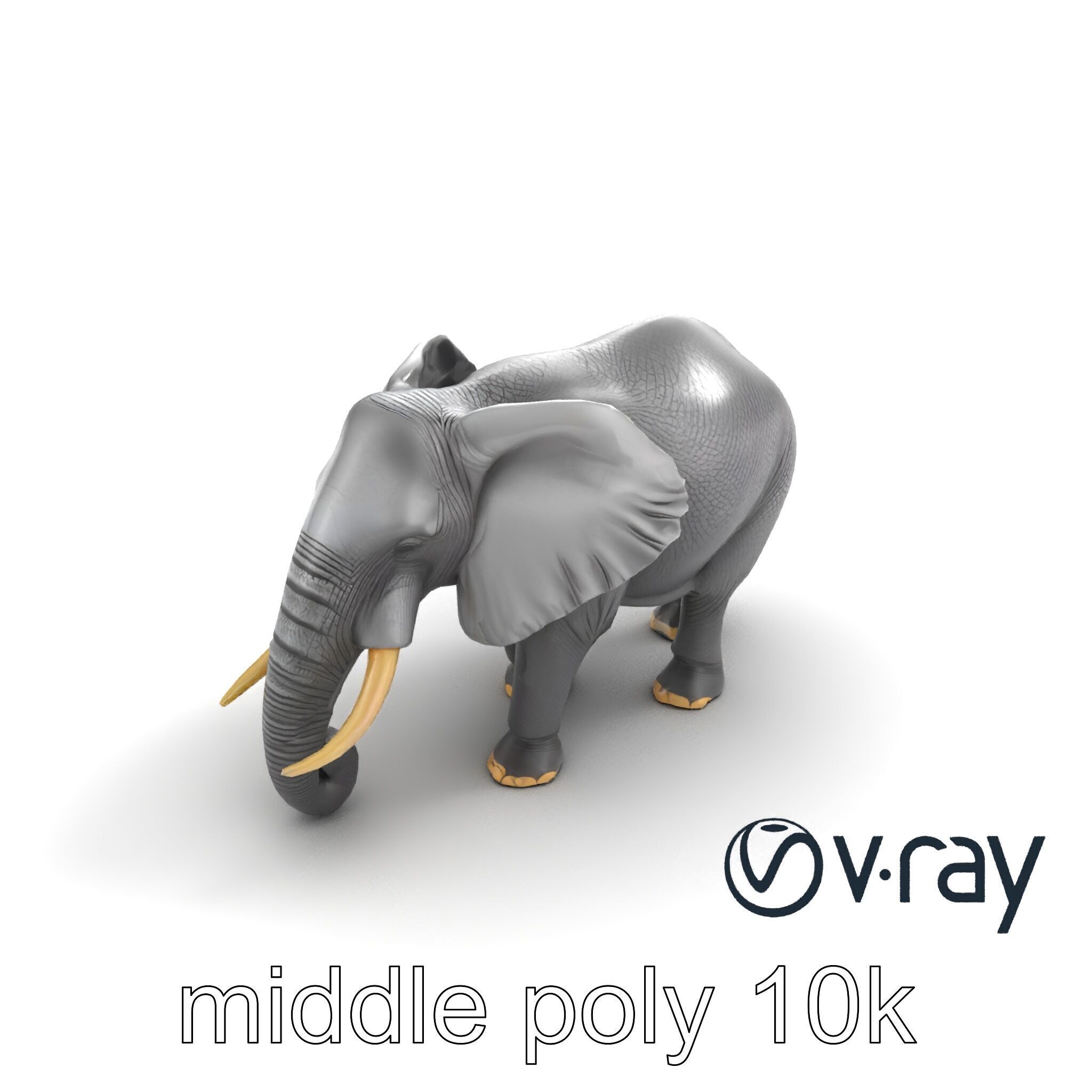 Majestic African Elephant 3D model pack Low-poly 3D model_9