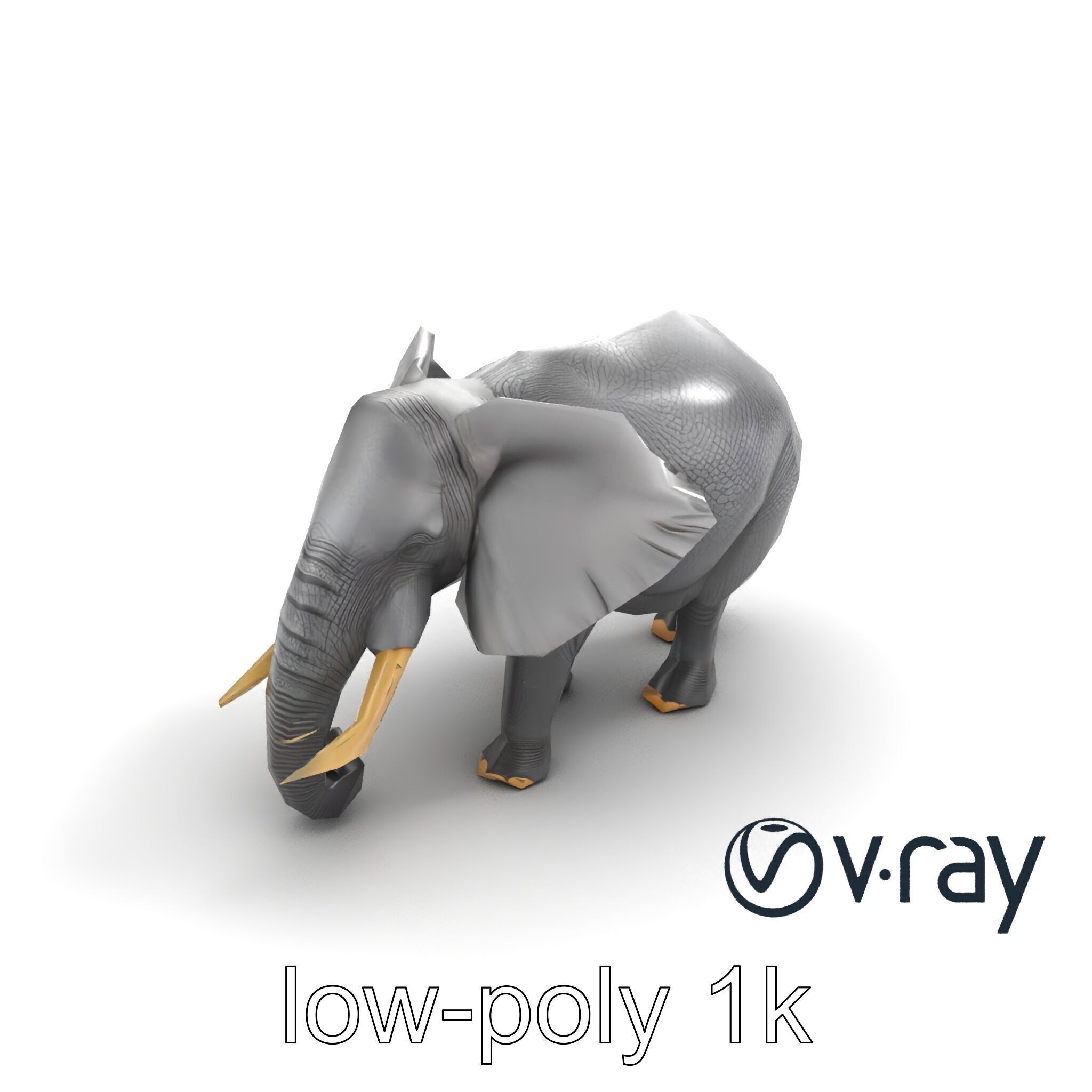 Majestic African Elephant 3D model pack Low-poly 3D model_10
