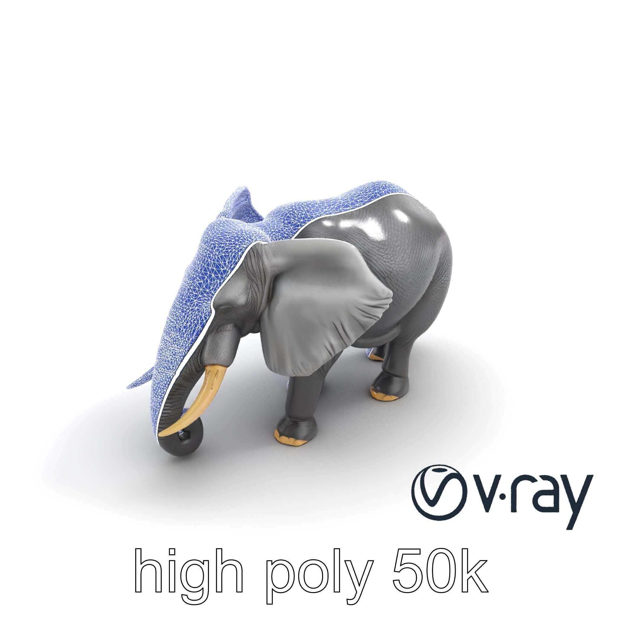 Majestic African Elephant 3D model pack Low-poly 3D model_28