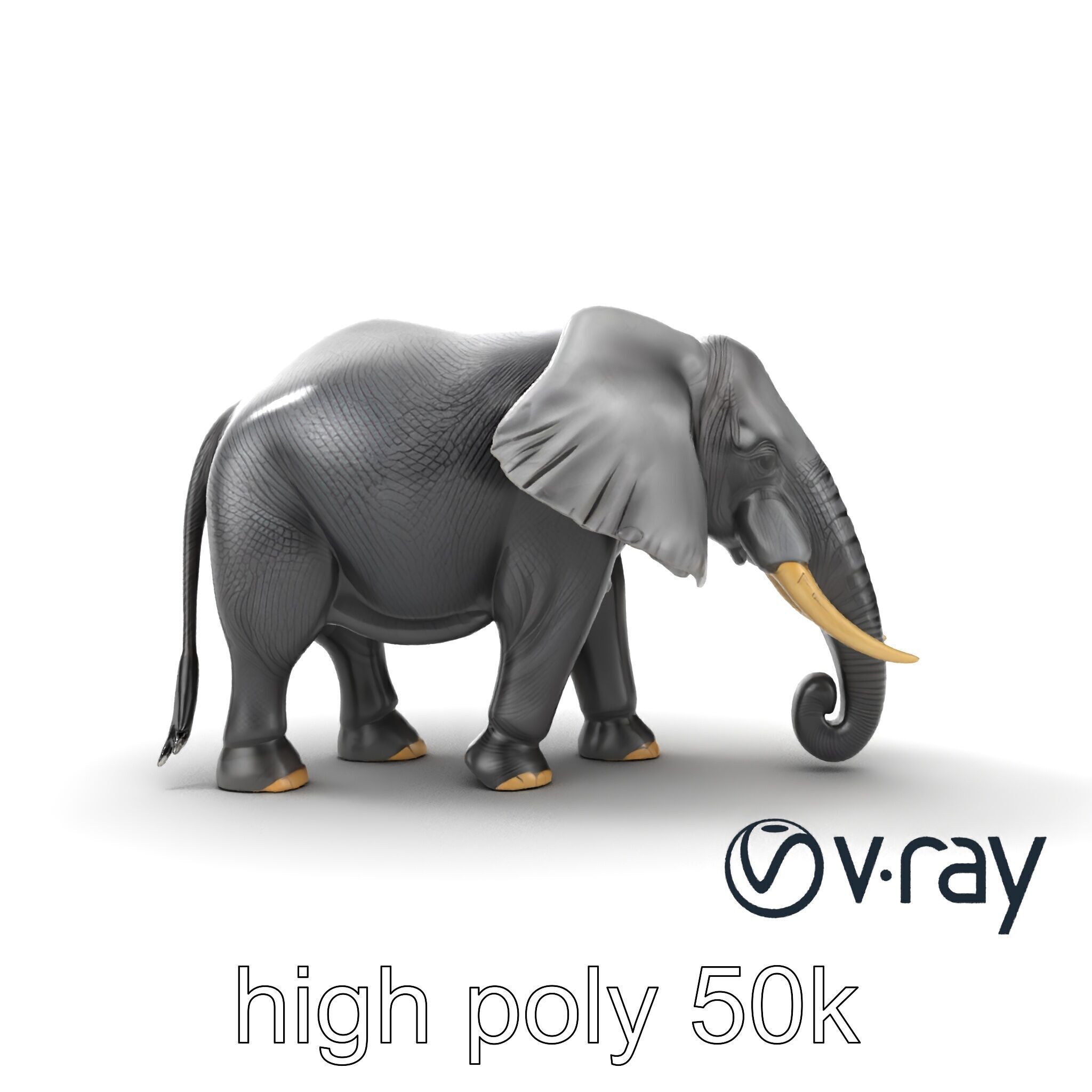 Majestic African Elephant 3D model pack Low-poly 3D model_20