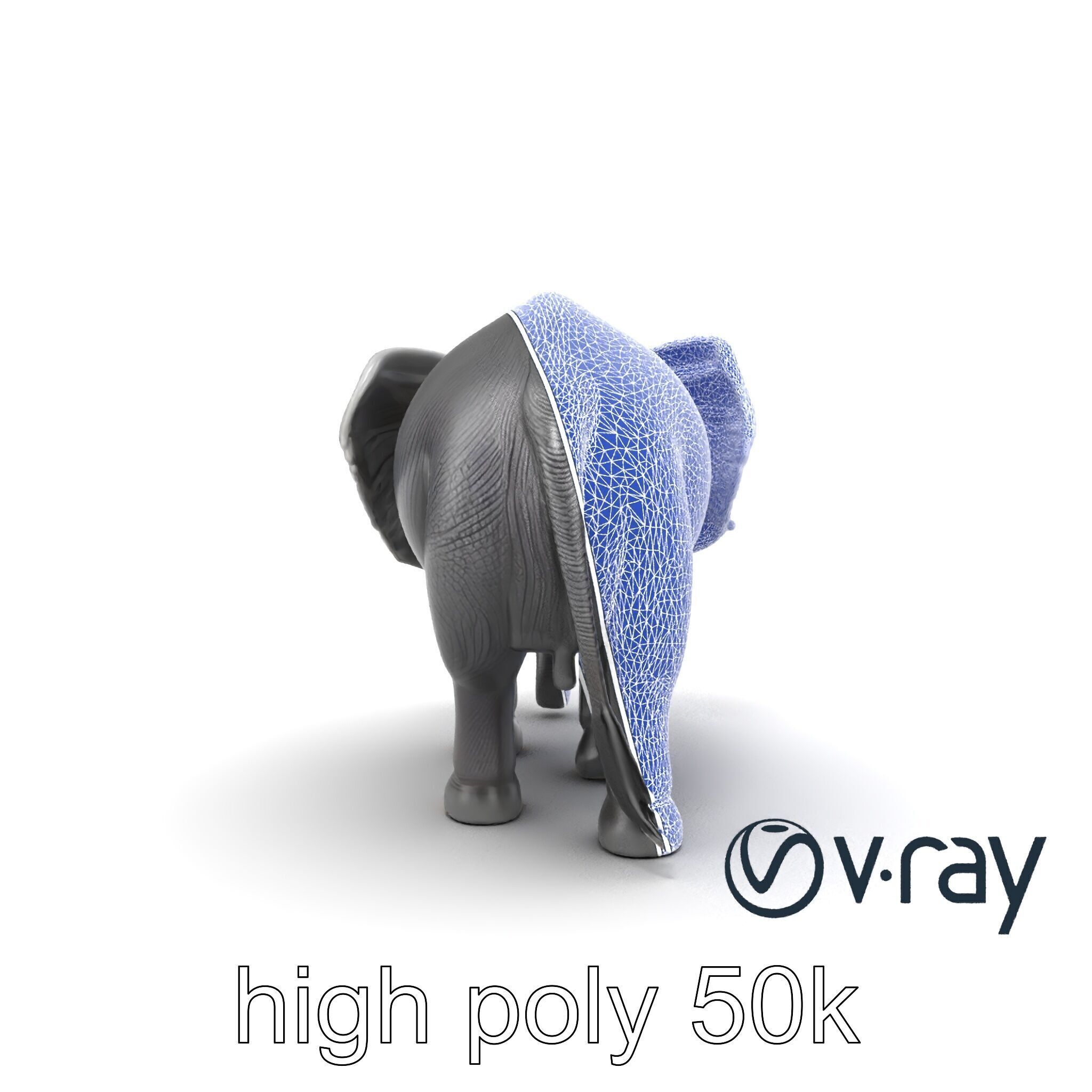 Majestic African Elephant 3D model pack Low-poly 3D model_25