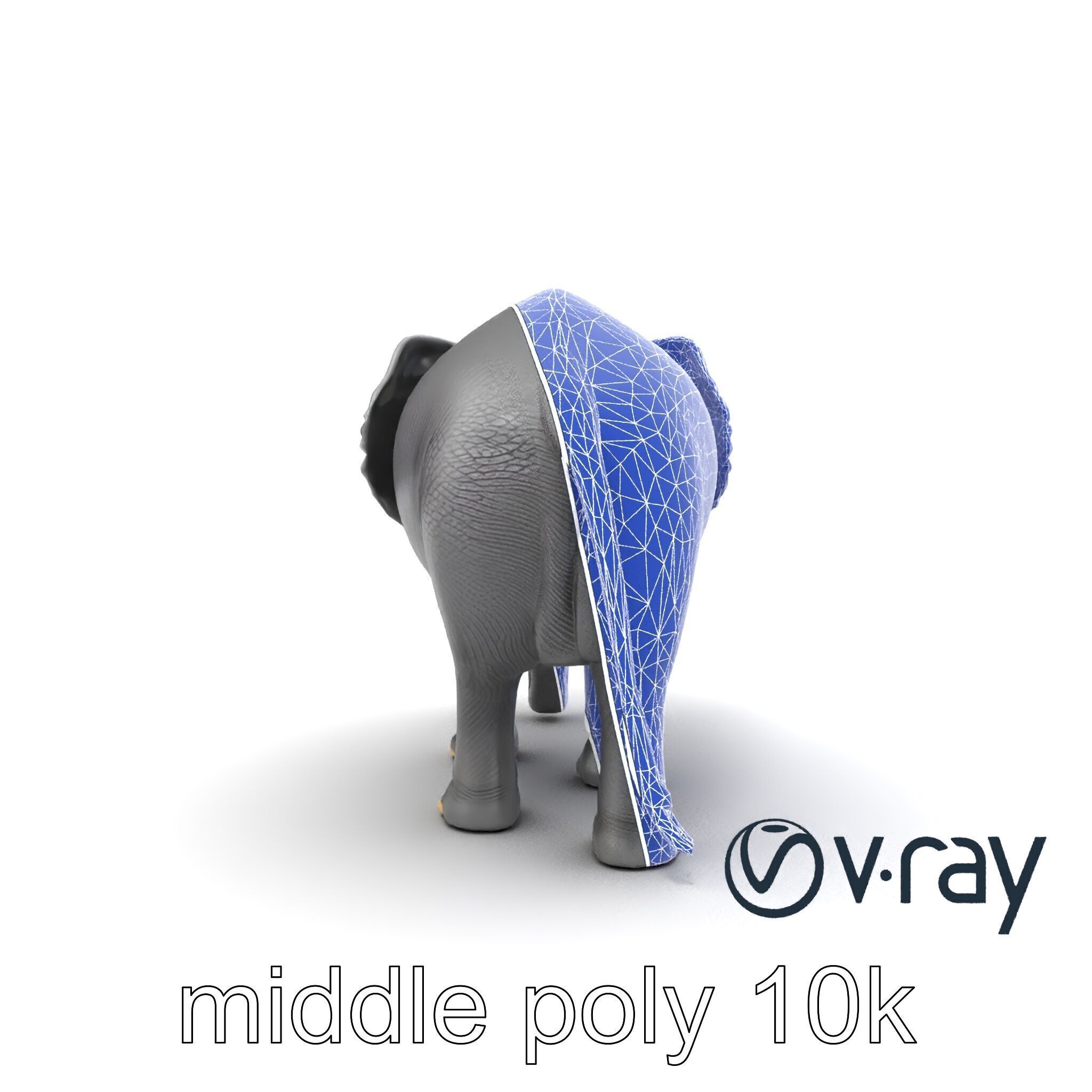 Majestic African Elephant 3D model pack Low-poly 3D model_27