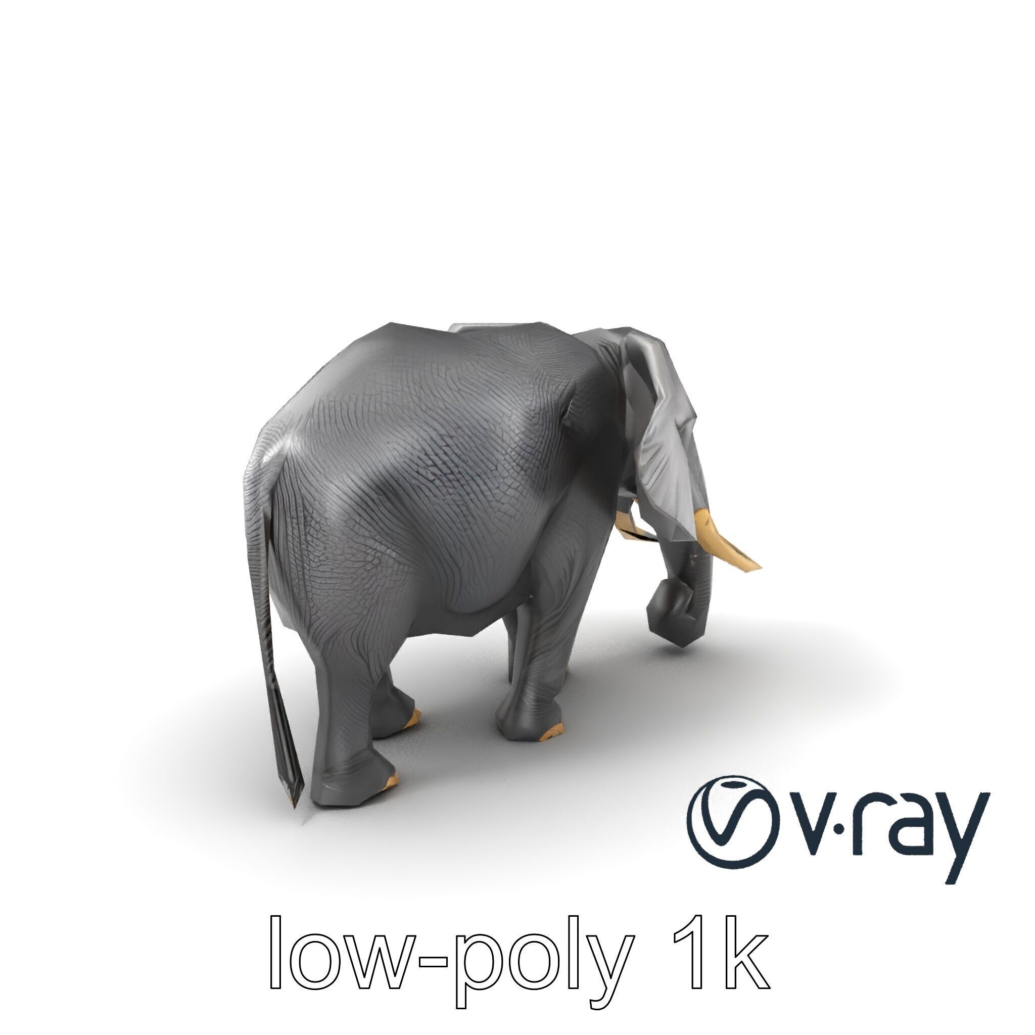 Majestic African Elephant 3D model pack Low-poly 3D model_2