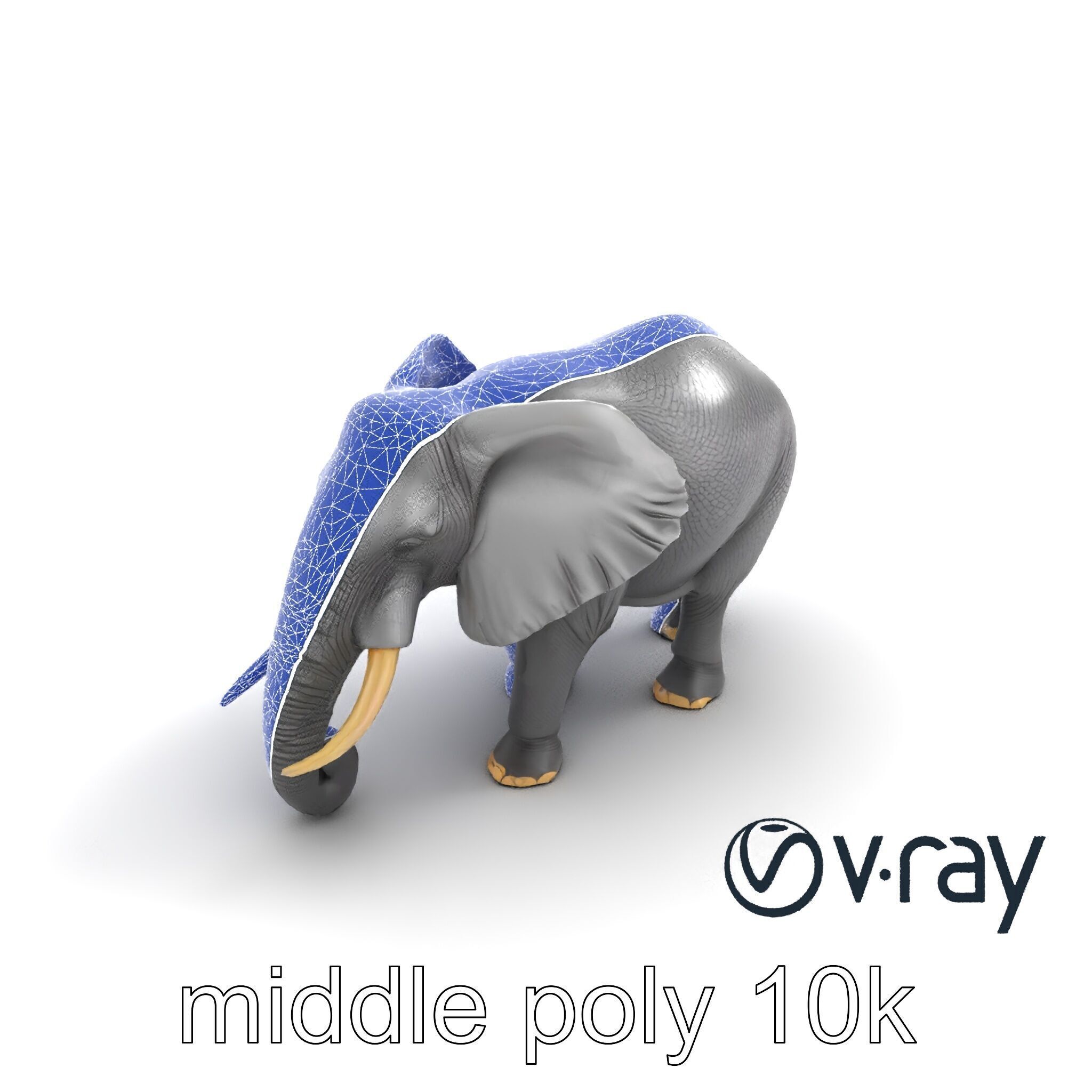 Majestic African Elephant 3D model pack Low-poly 3D model_18