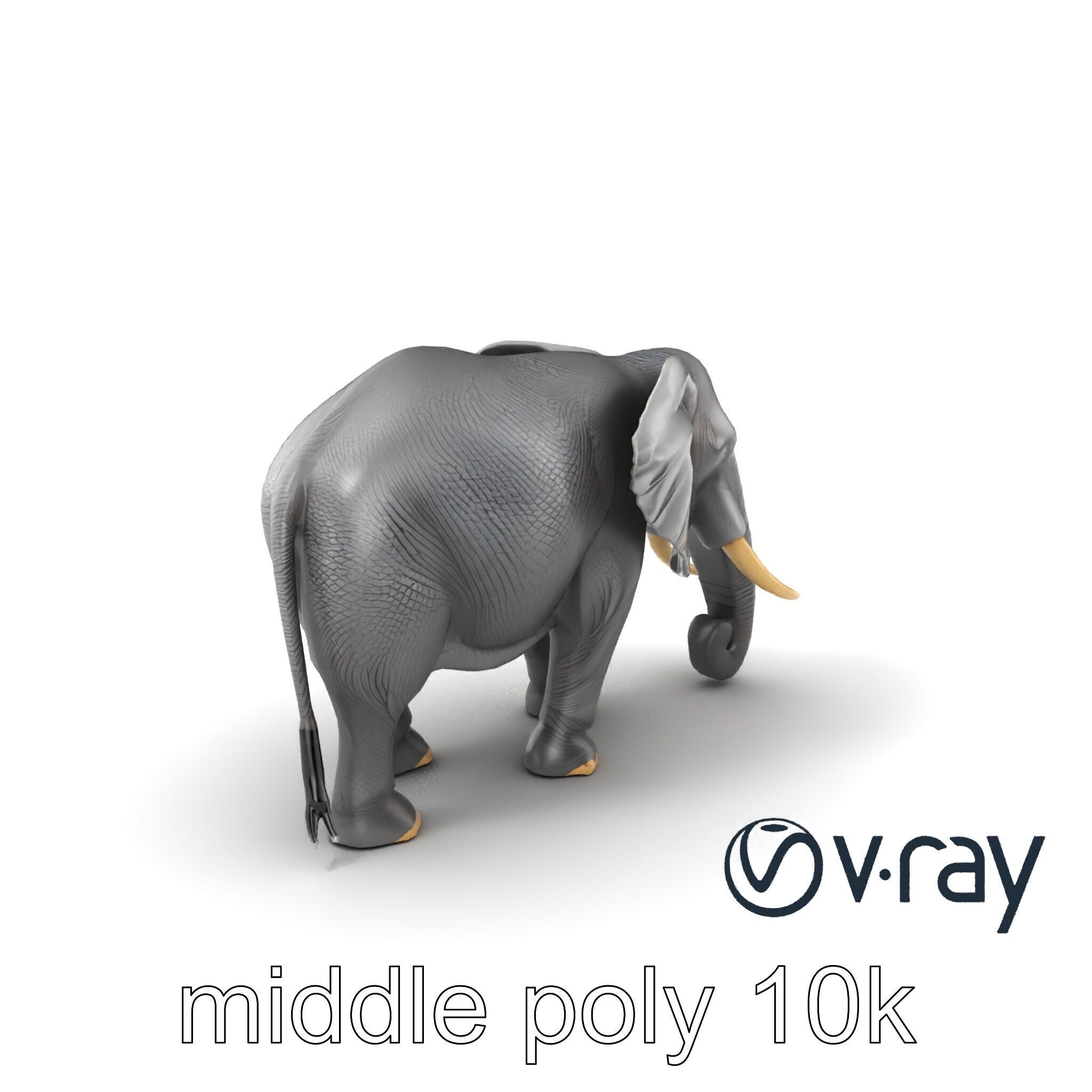 Majestic African Elephant 3D model pack Low-poly 3D model_3