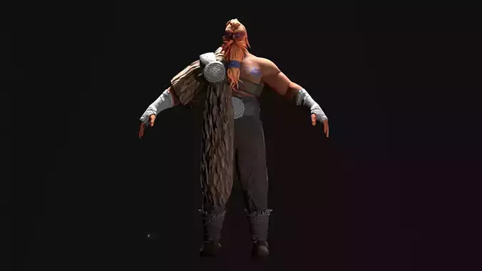 Stylised Viking Warrior 