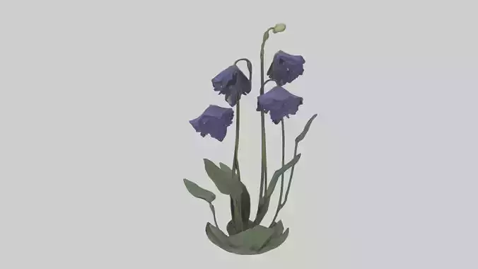 Monkshood model