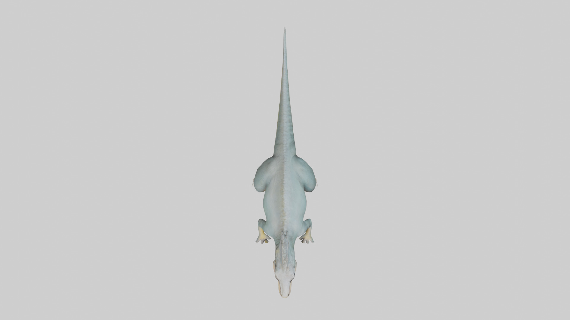 Monolophosaurus model 3D model_14