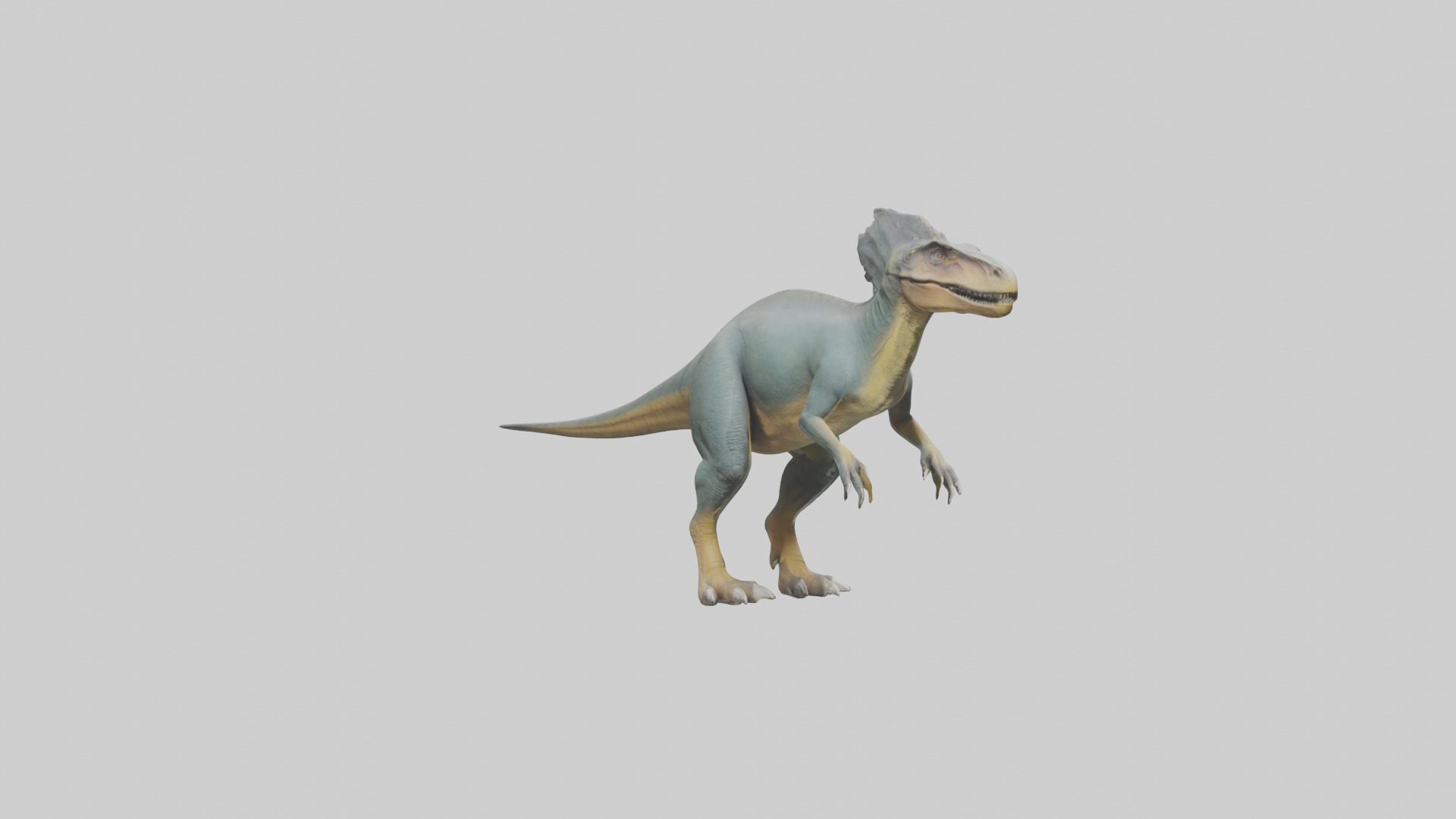 Monolophosaurus model 3D model_8