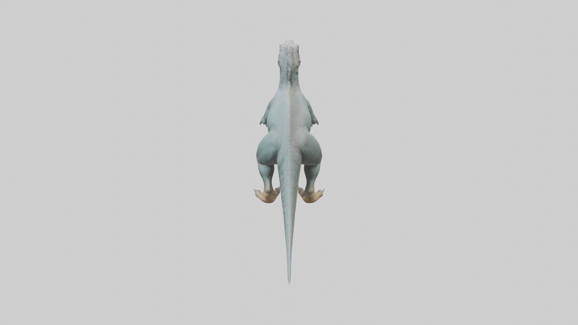 Monolophosaurus model 3D model_15