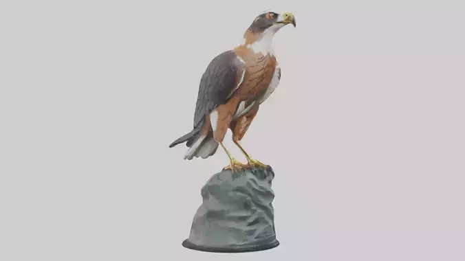 Montagus Harrier statue model