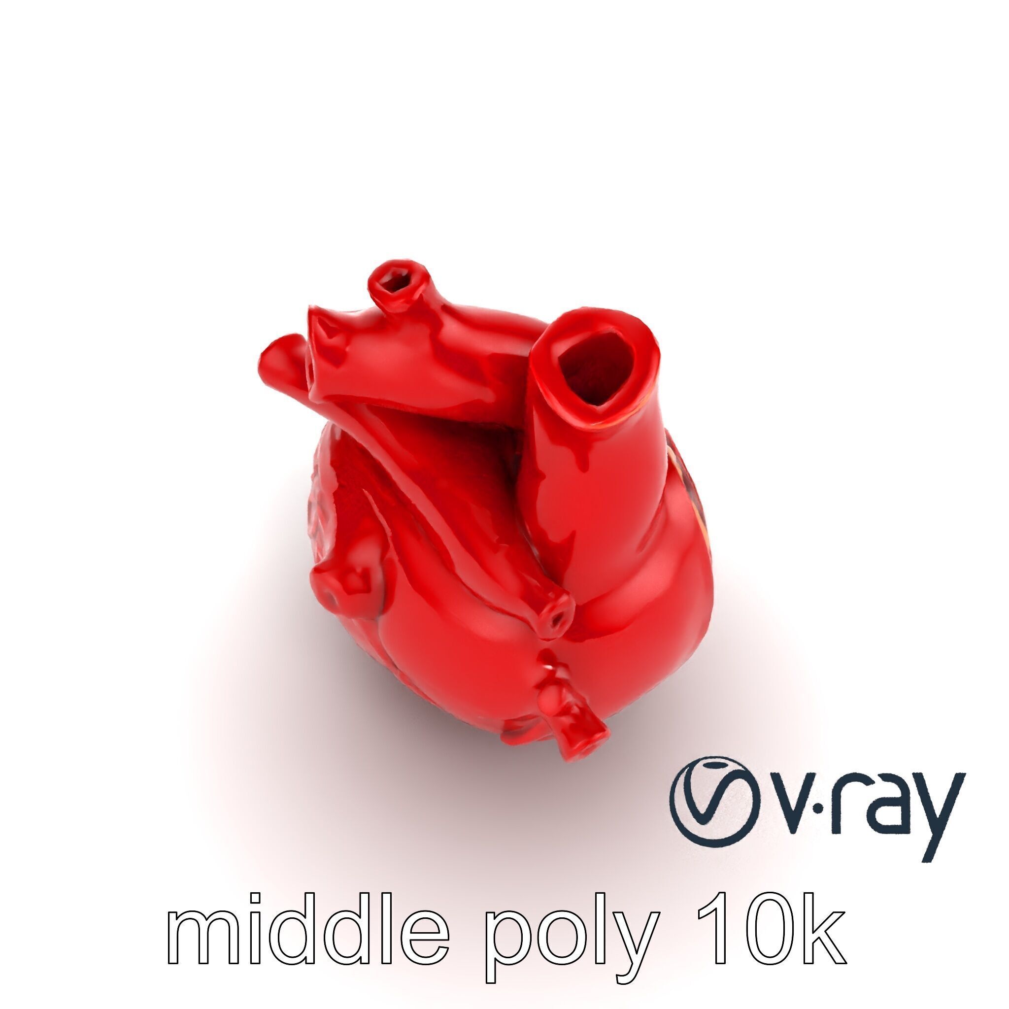 Detailed Heart Anatomy Model Pack Low-poly 3D model_9