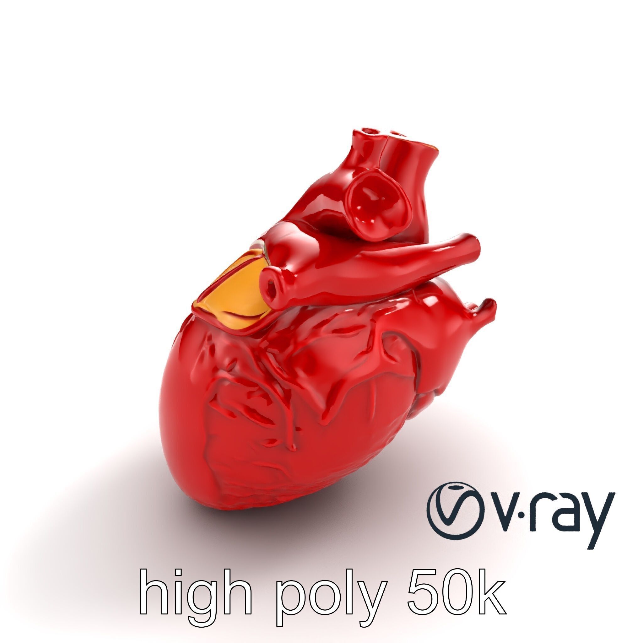 Detailed Heart Anatomy Model Pack Low-poly 3D model_25