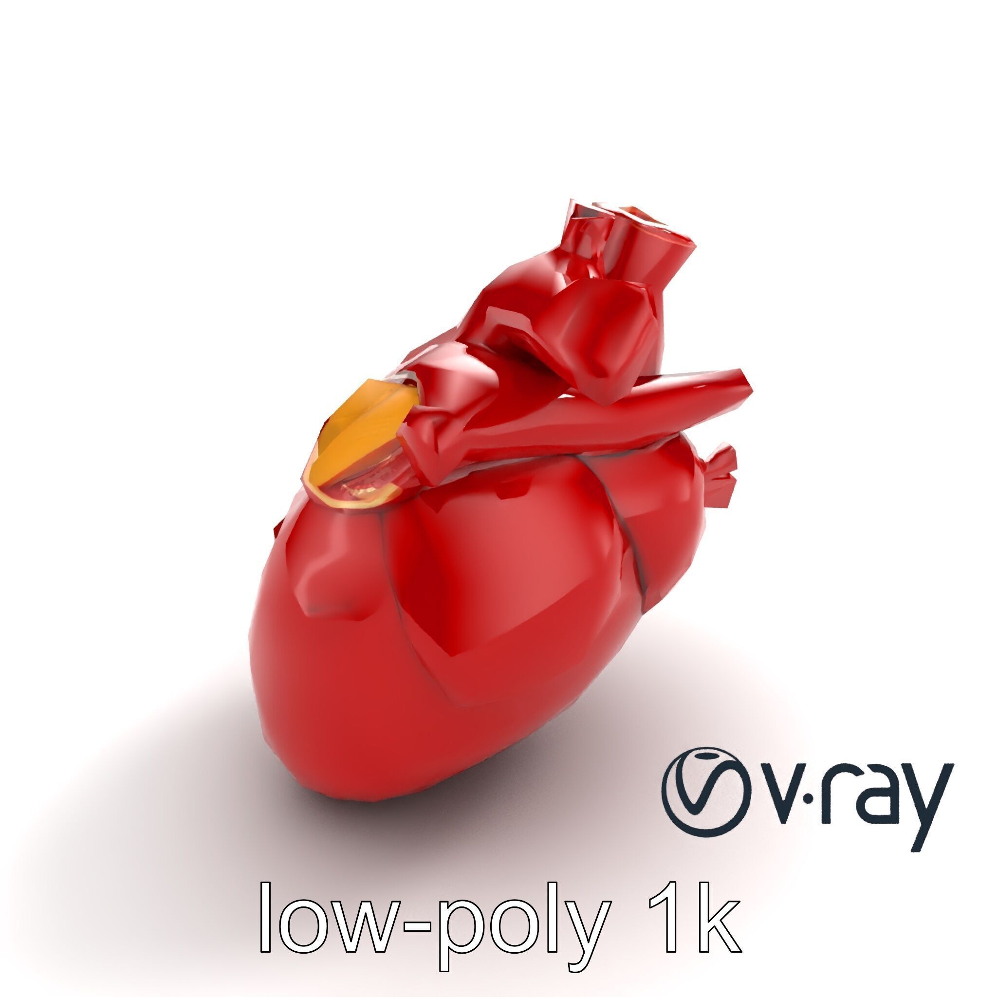 Detailed Heart Anatomy Model Pack Low-poly 3D model_10