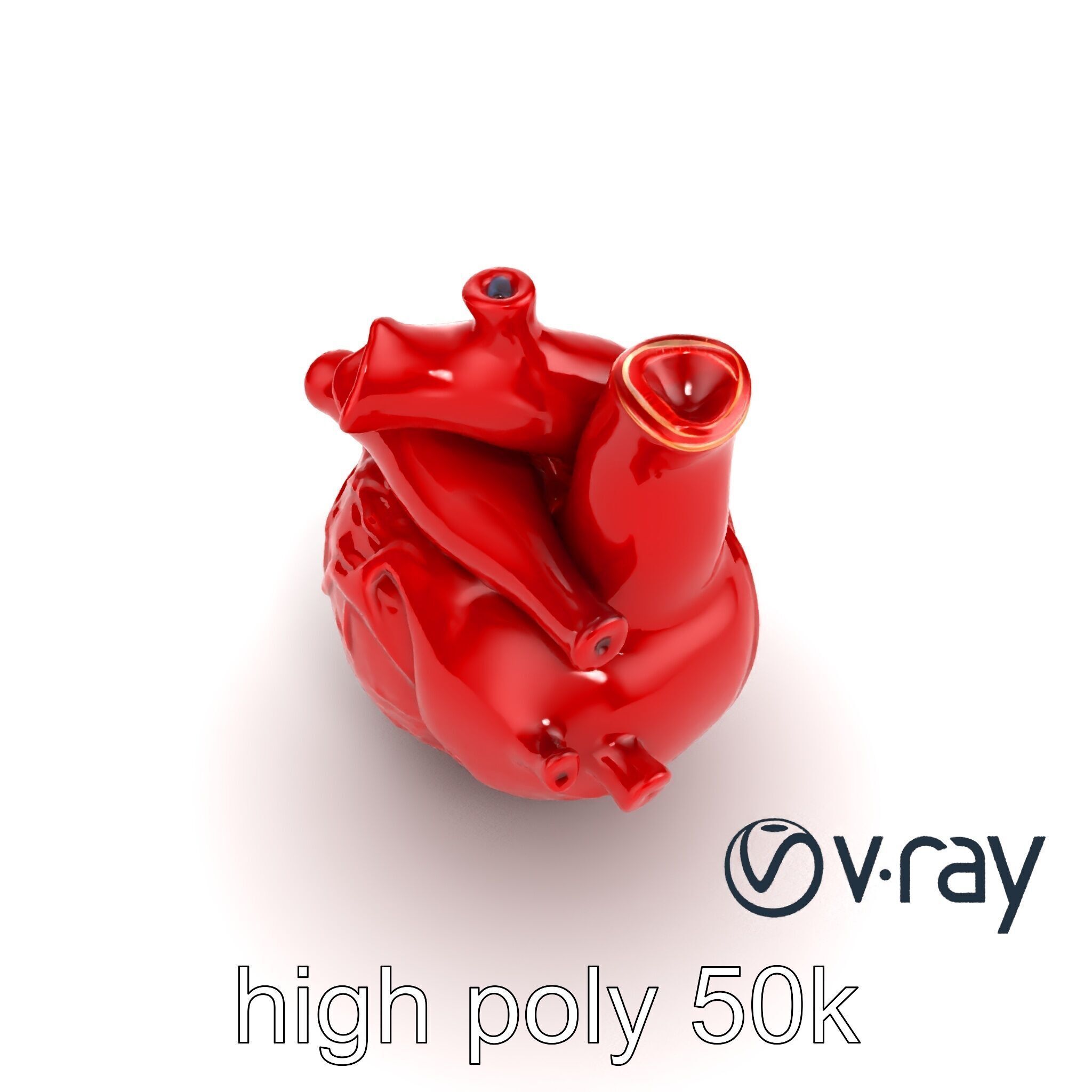 Detailed Heart Anatomy Model Pack Low-poly 3D model_12