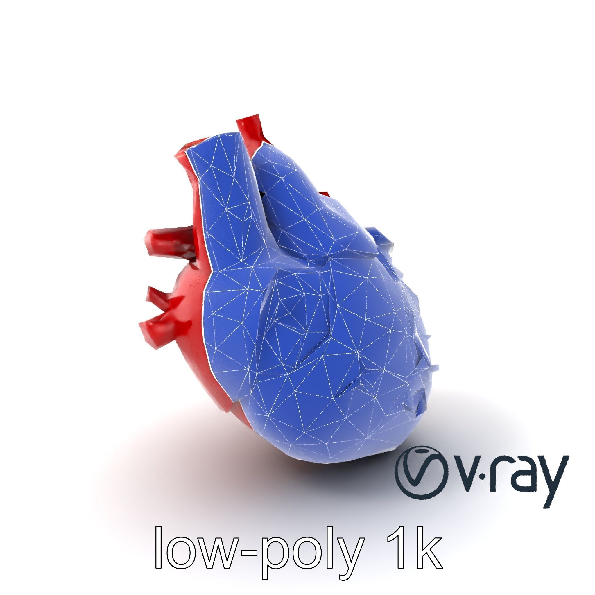 Detailed Heart Anatomy Model Pack Low-poly 3D model_7