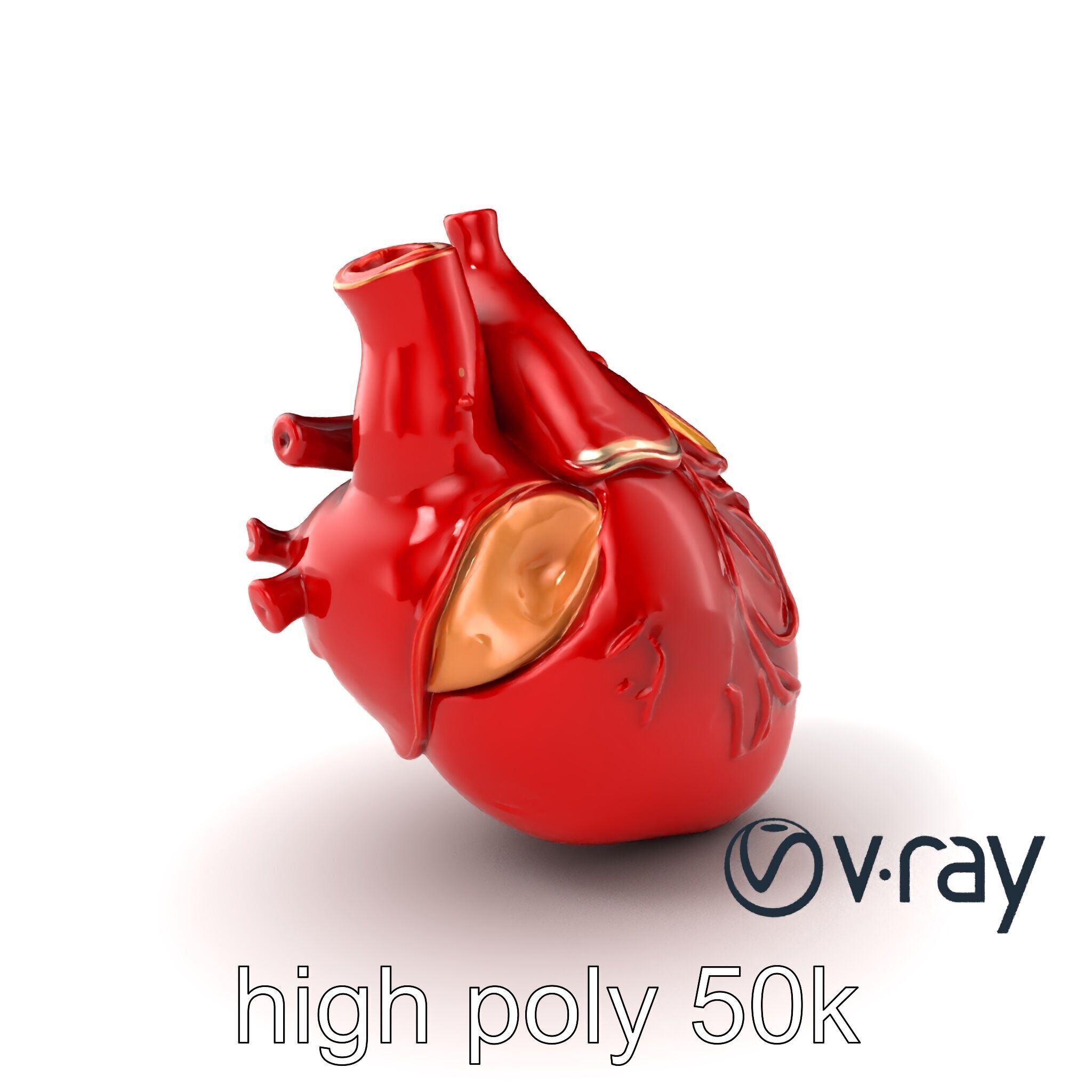 Detailed Heart Anatomy Model Pack Low-poly 3D model_5