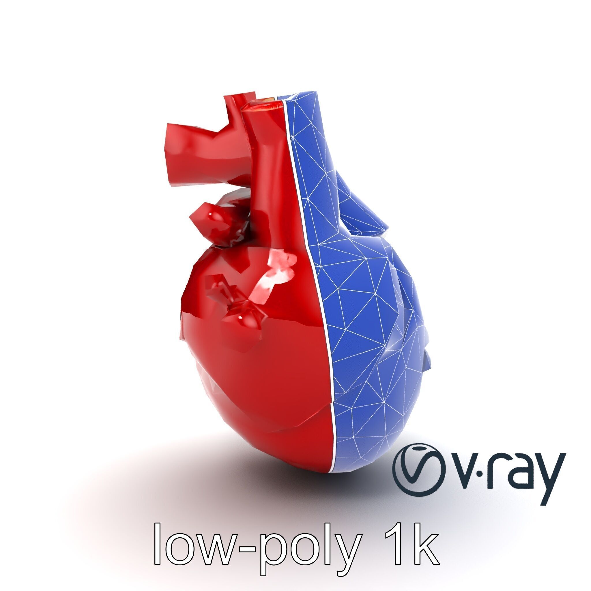 Detailed Heart Anatomy Model Pack Low-poly 3D model_21